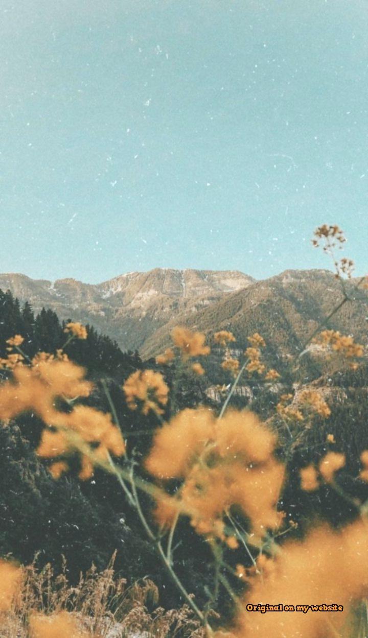 iPhone Wallpaper Vintage Aesthetics Aesthetic