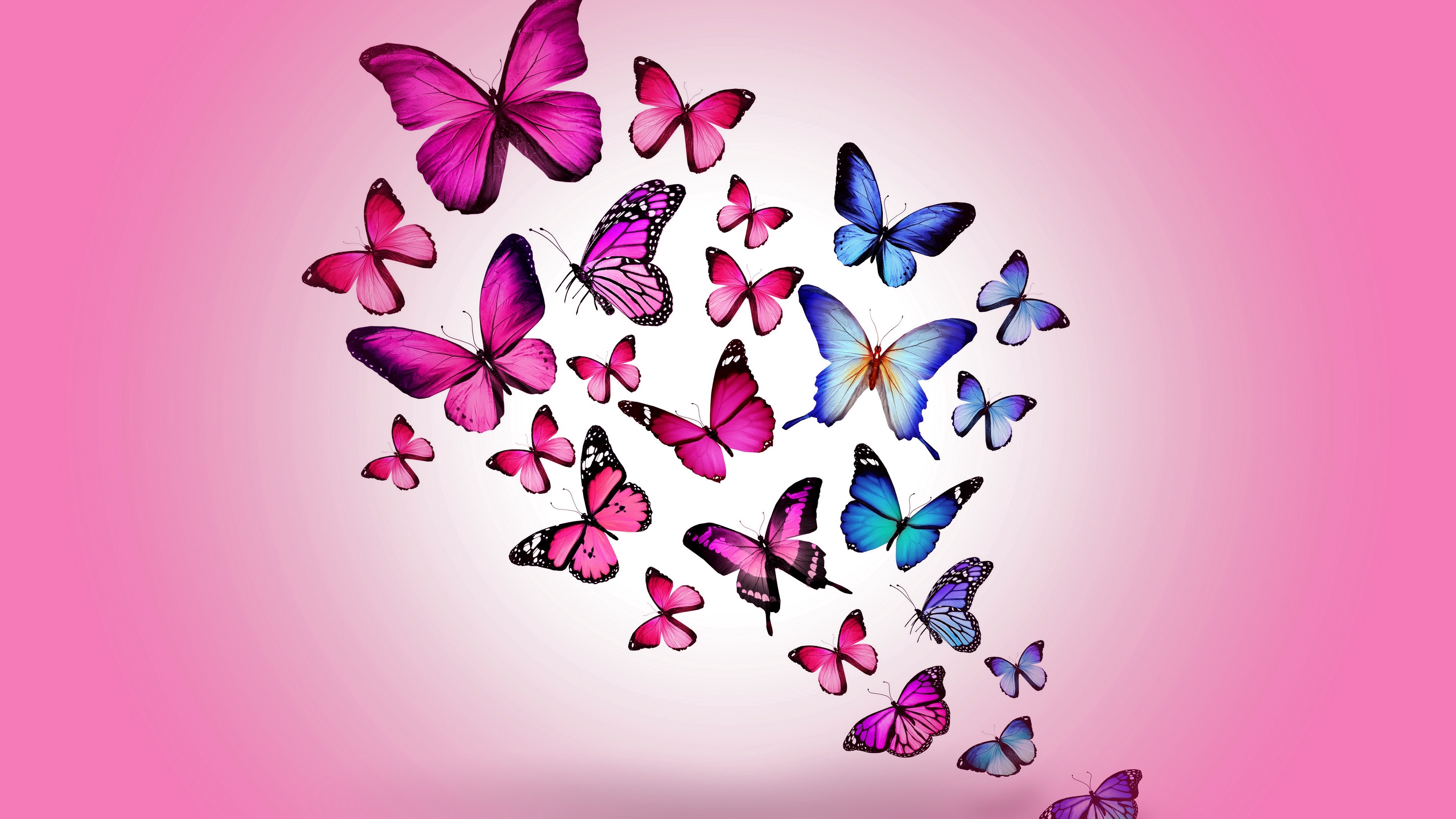 Download wallpaper 3840x2160 butterfly, drawing, flying, colorful