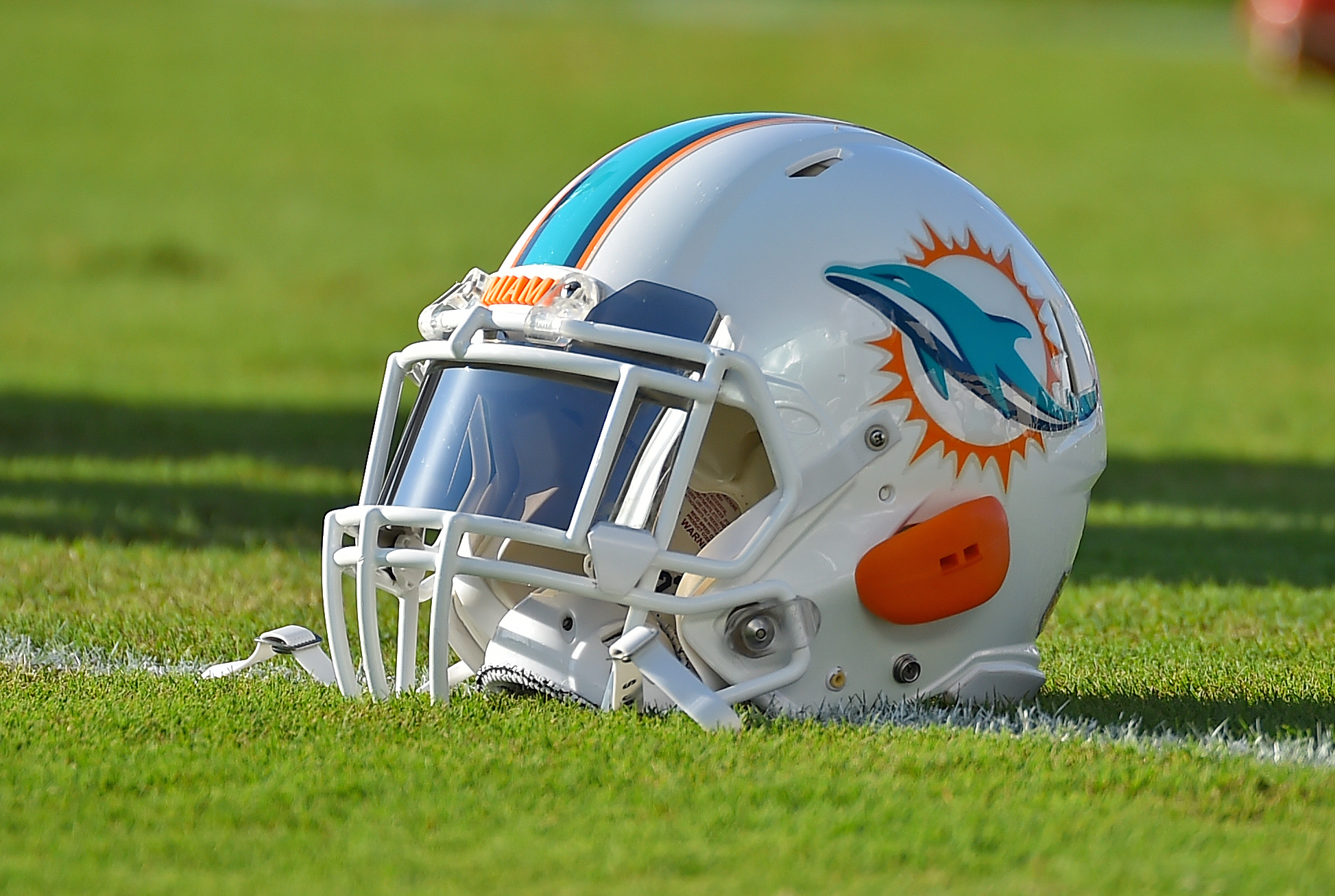 Does your phone need an overhaul? The Dolphins have your new wallpaper