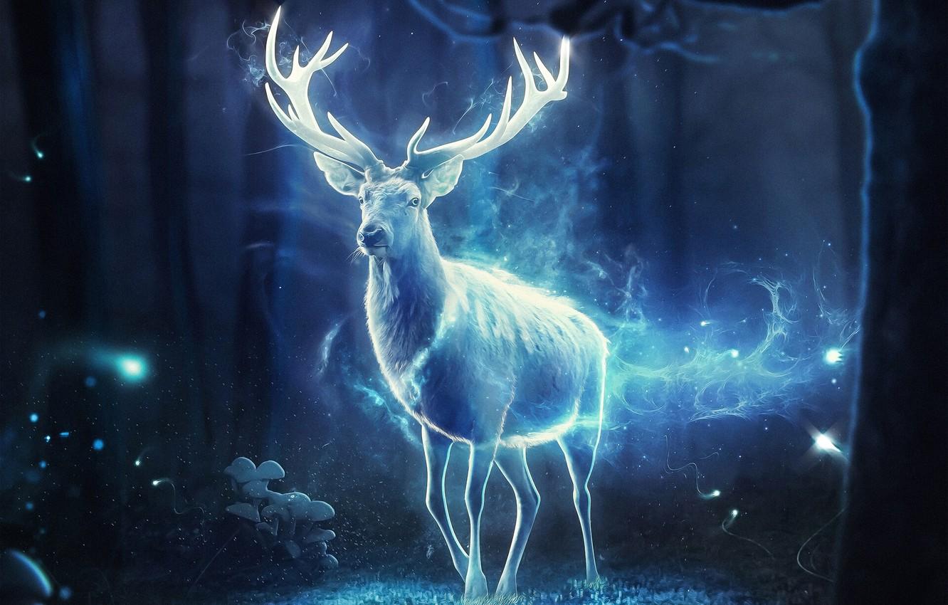 Wallpaper Night, Forest, Magic, Deer, Light, Fantasy, Horns, Art, Fiction, Magic, Animal, Forest, Horns, Animal, Deer, Hosne Qanadelo image for desktop, section фантастика