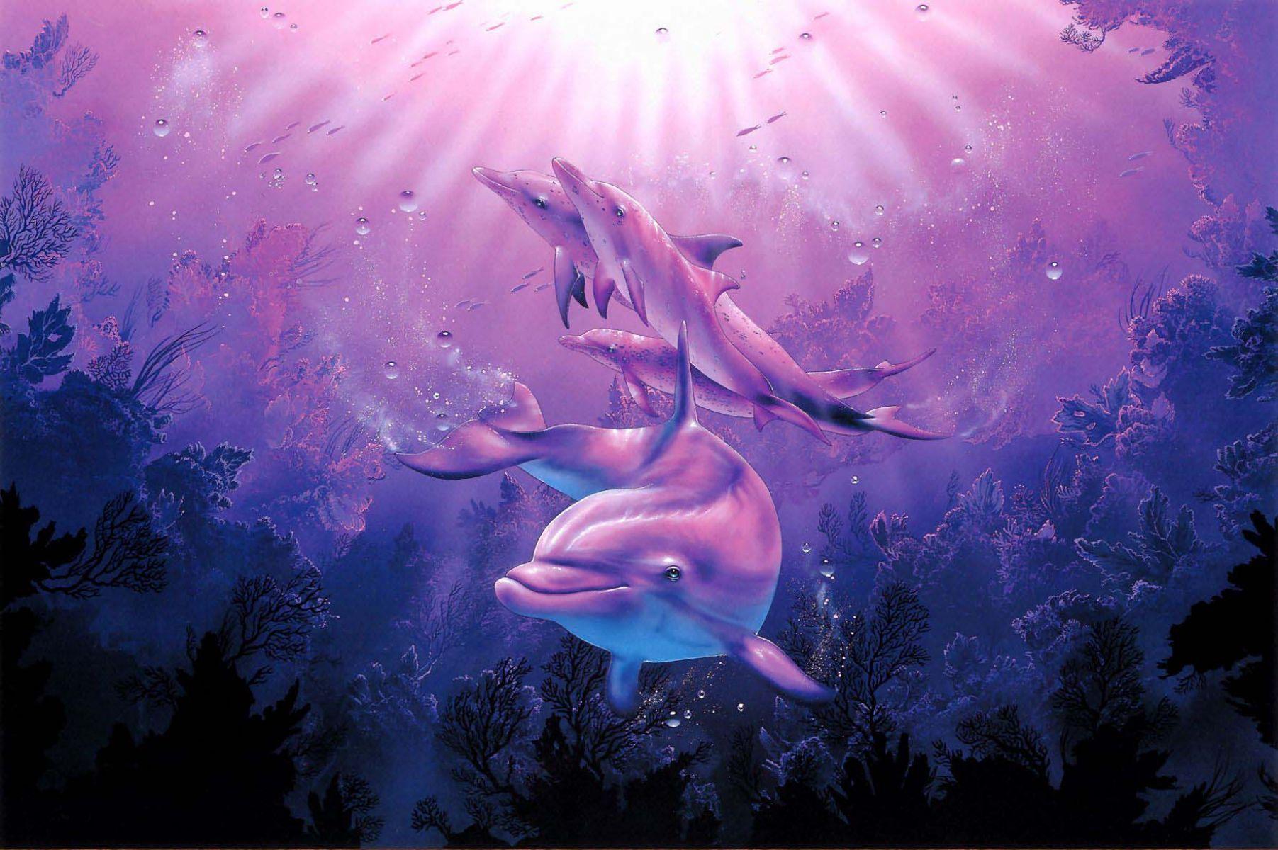 Dolphins Underwater Wallpapers Wallpaper Cave