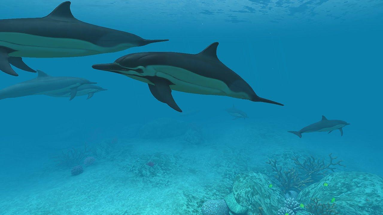 Dolphins 3D Screensaver & Live Wallpaper HD