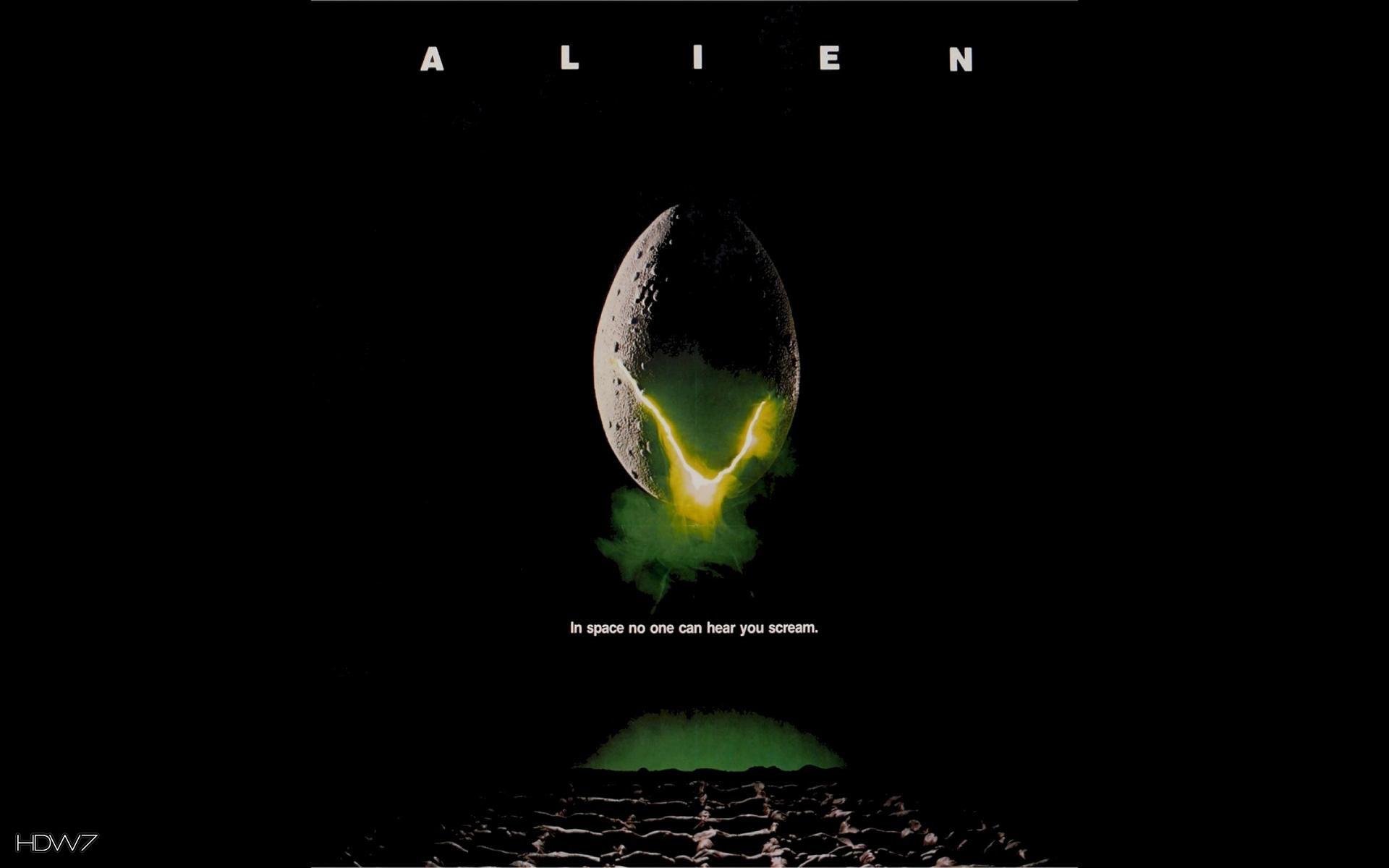 alien egg. HD wallpaper gallery