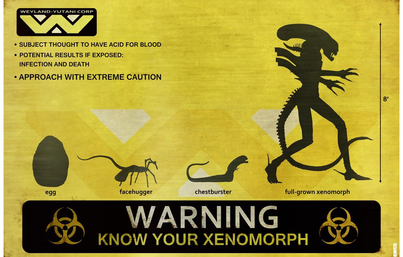 Wallpaper warning, stranger, alien, alien, egg, Xenomorph, chest