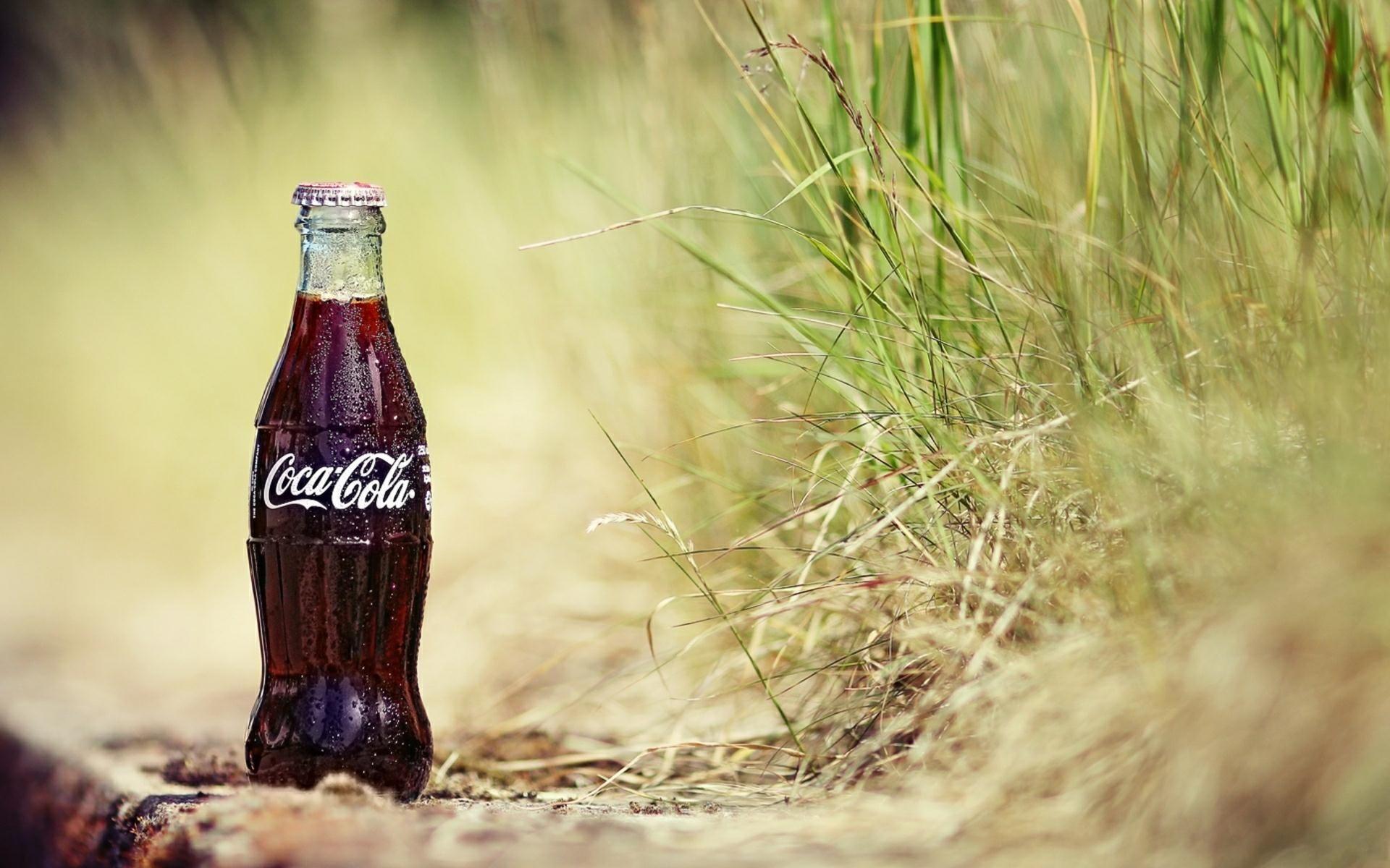 Cold Coca Cola With Nature, Nature HD Wallpaper From >