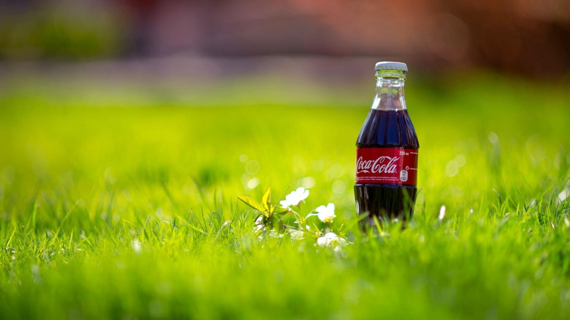 Selective Focus Photograph Of Person Holding Coca Cola Bottle HD