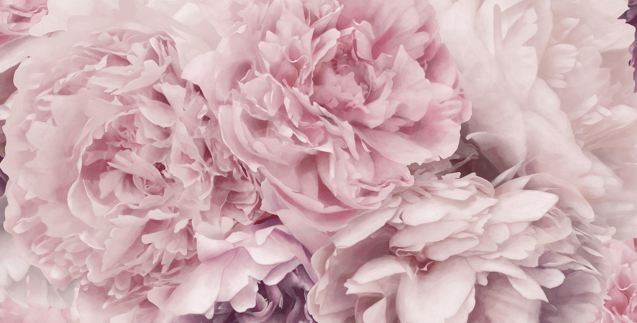 Pink Peonies Wallpaper (30 + Background Picture)