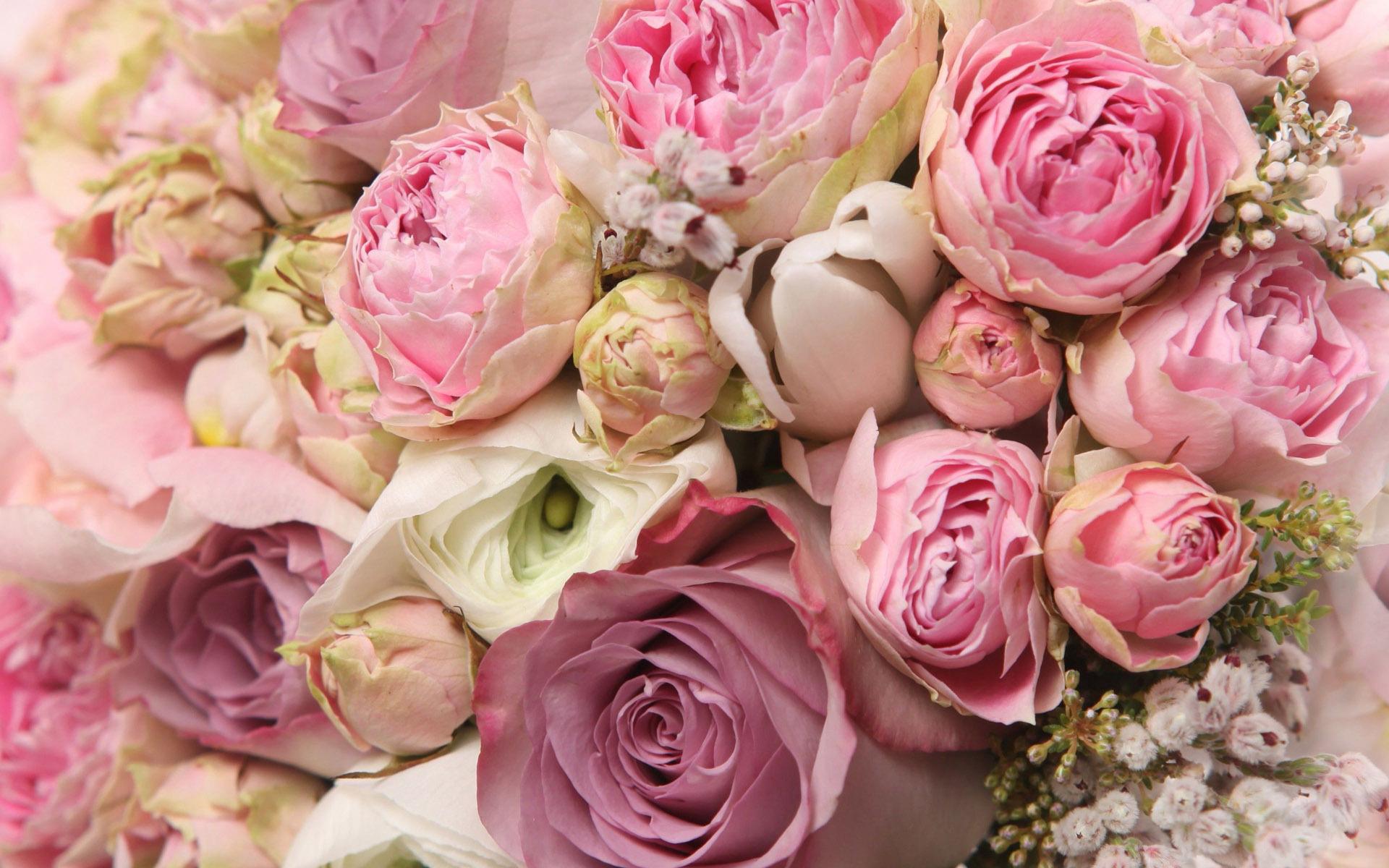 Free download Roses and peonies bouquet wallpaper 18426 1920x1200