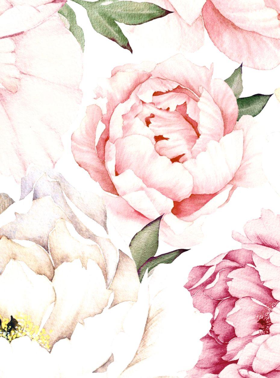 Peony Flower Wallpaper