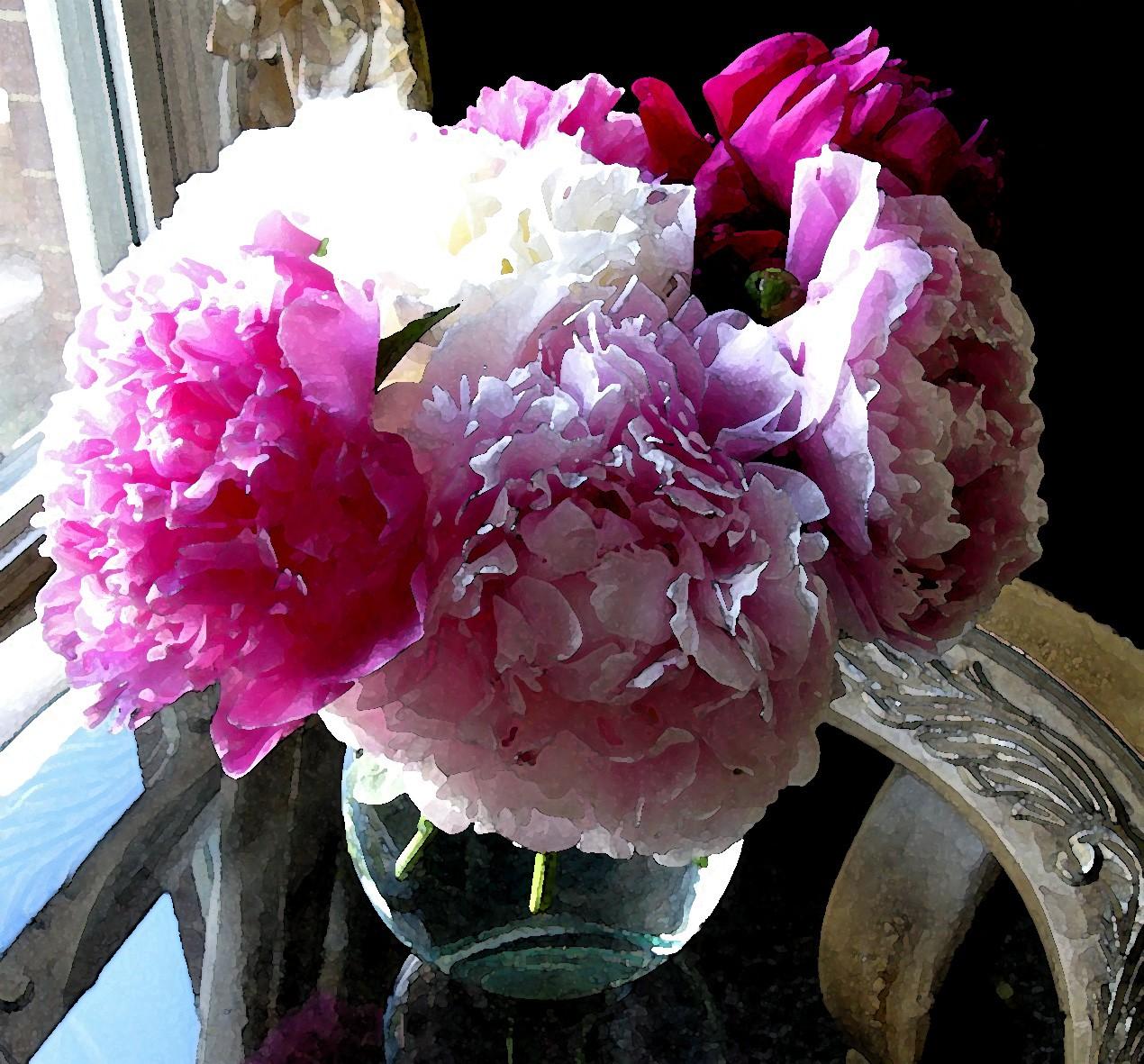 Wallpaper Tagged With Peonies: Pink Peonies Flowers Watercolor