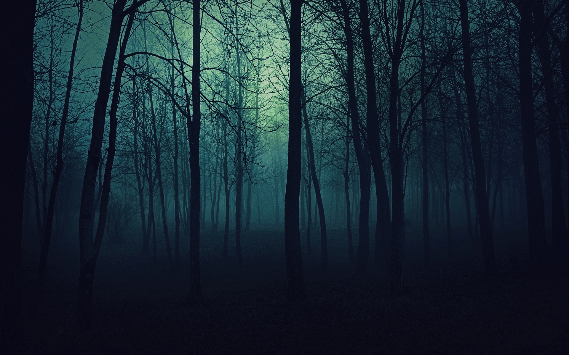 Free download Black Misty Forest Wallpaper HD [1920x1200]