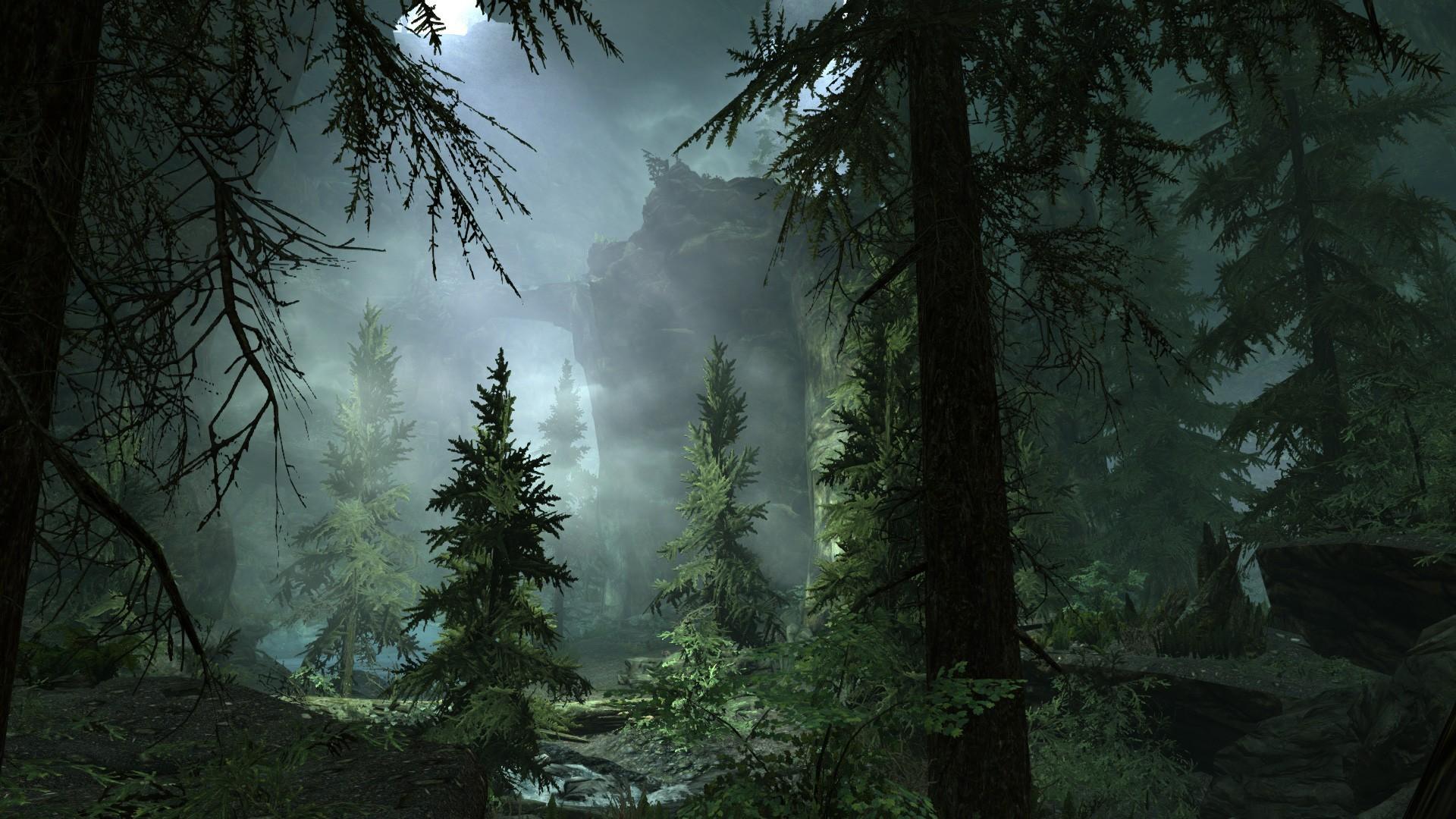 Dark forest HD wallpaper 1080p Gallery