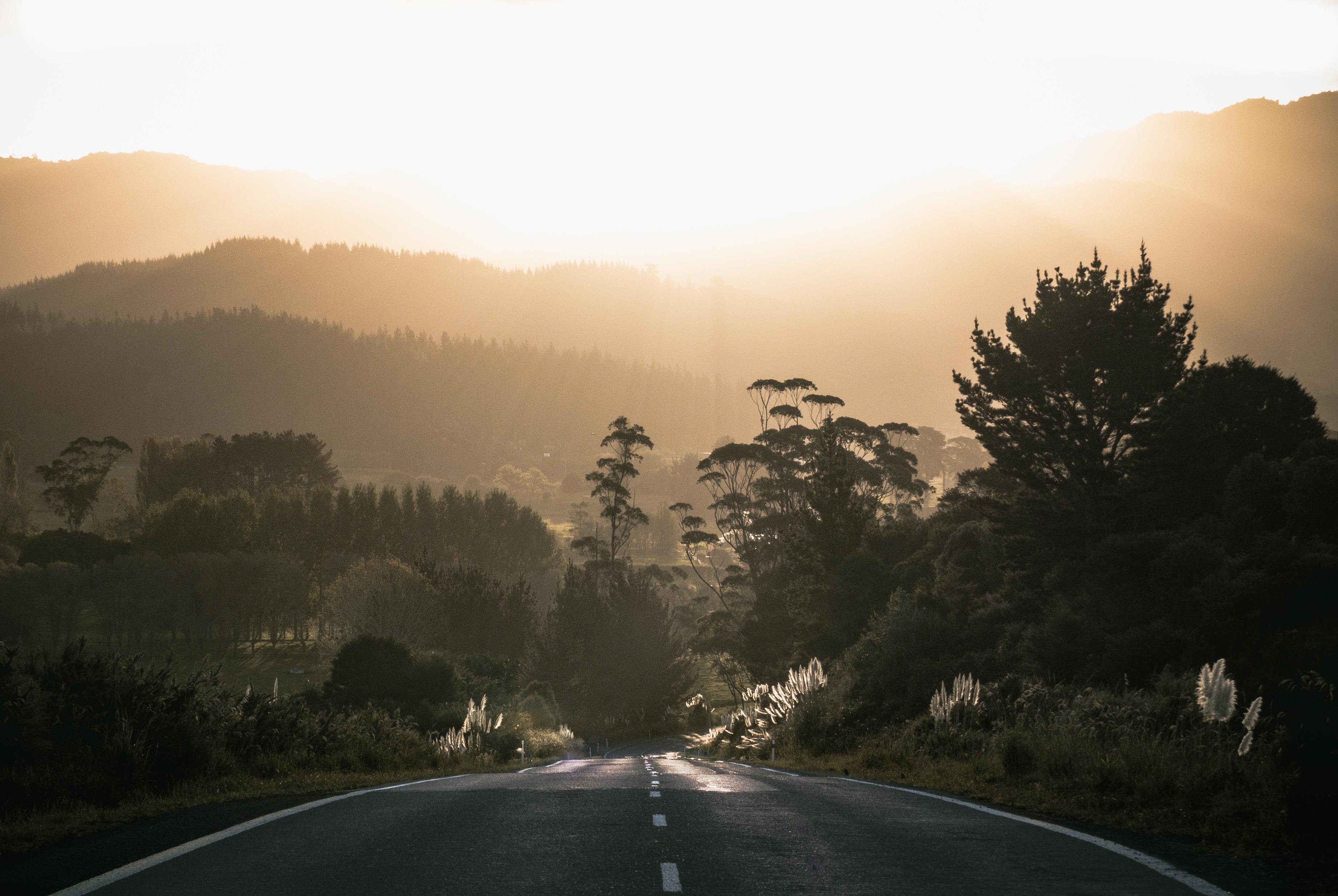 Road Surrounded By Trees Surrounded By Trees, HD Nature, 4k Wallpaper, Image