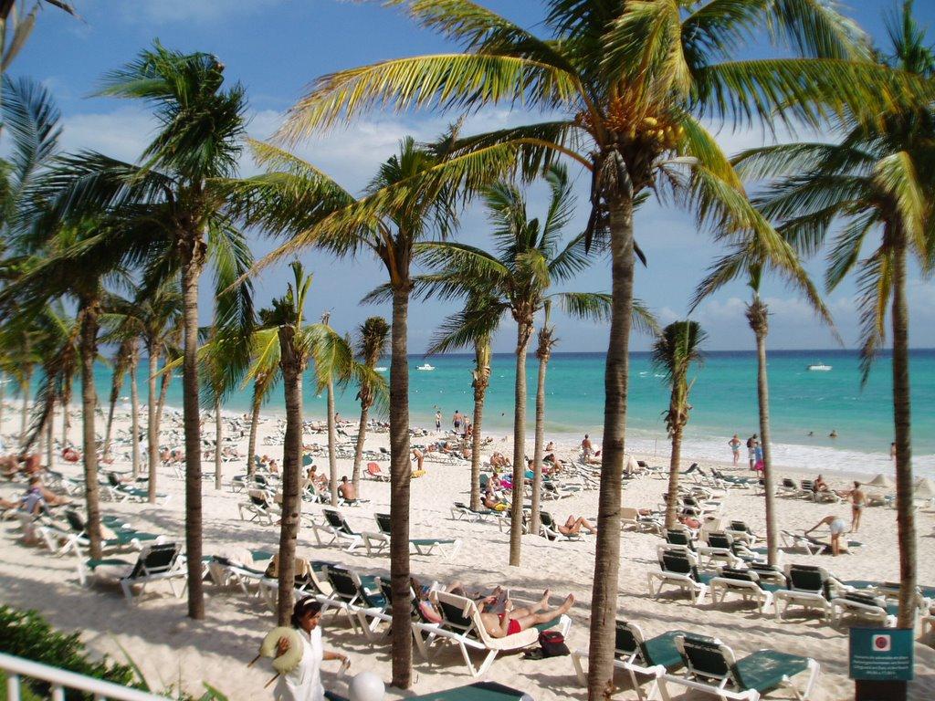 BlogOhotos: Review of the RIU Yucatan Resort Playa del Carmen Mexico