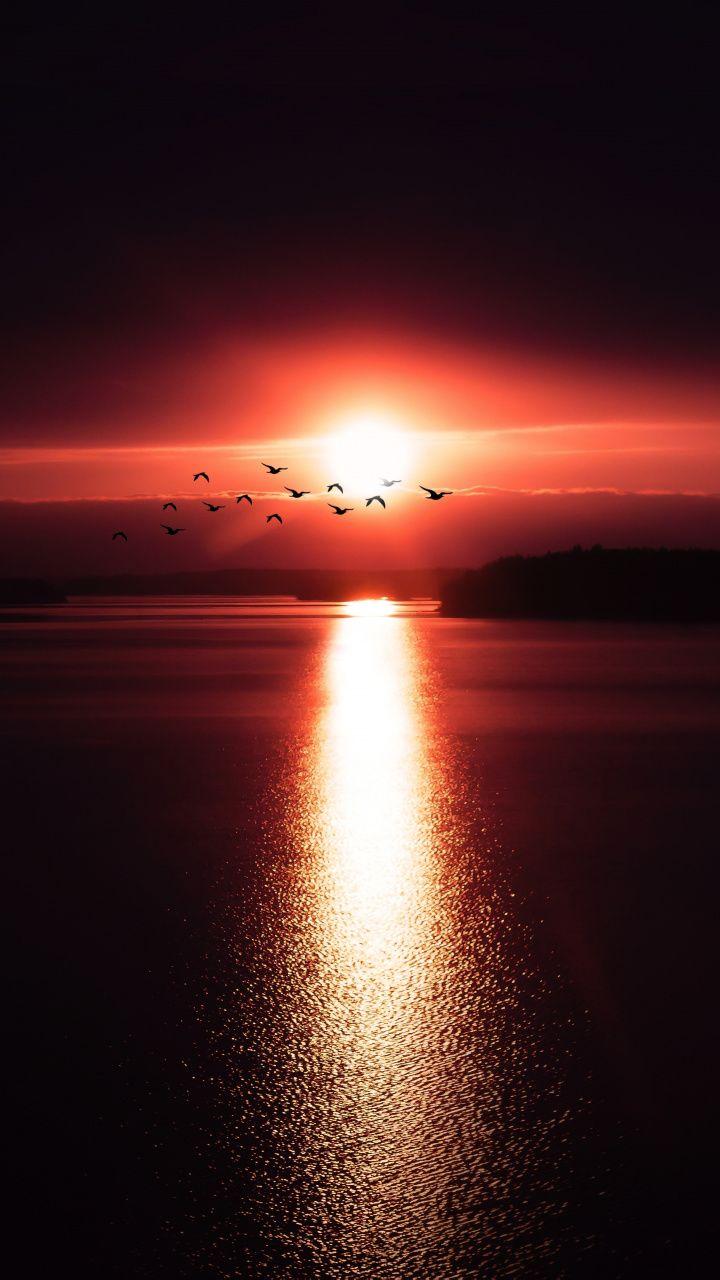 Sunset, reflections, birds, shine wallpaper. Nature