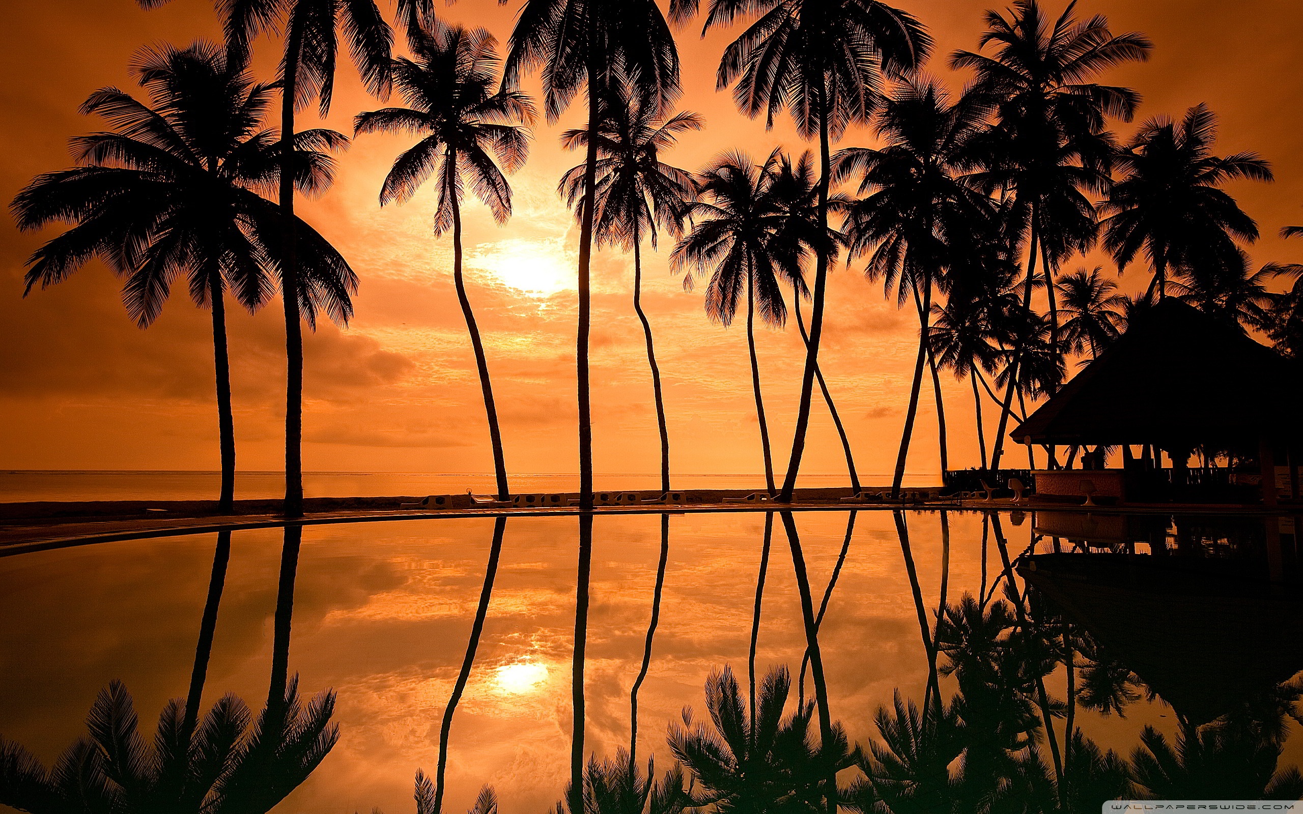 Hawaiian Beach Sunset Reflection ❤ 4K HD Desktop Wallpaper for 4K