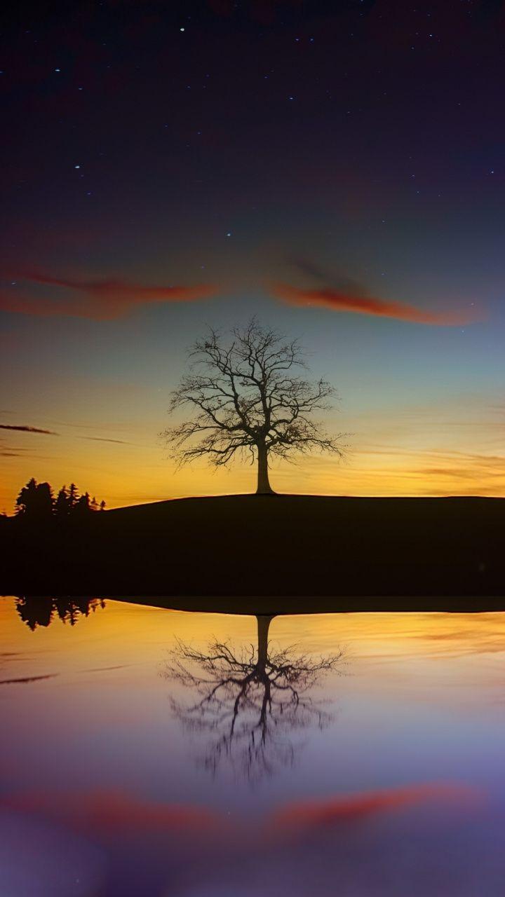 Tree, sunset, reflections, nature, 720x1280 wallpaper. Sunset, Nature, Wallpaper