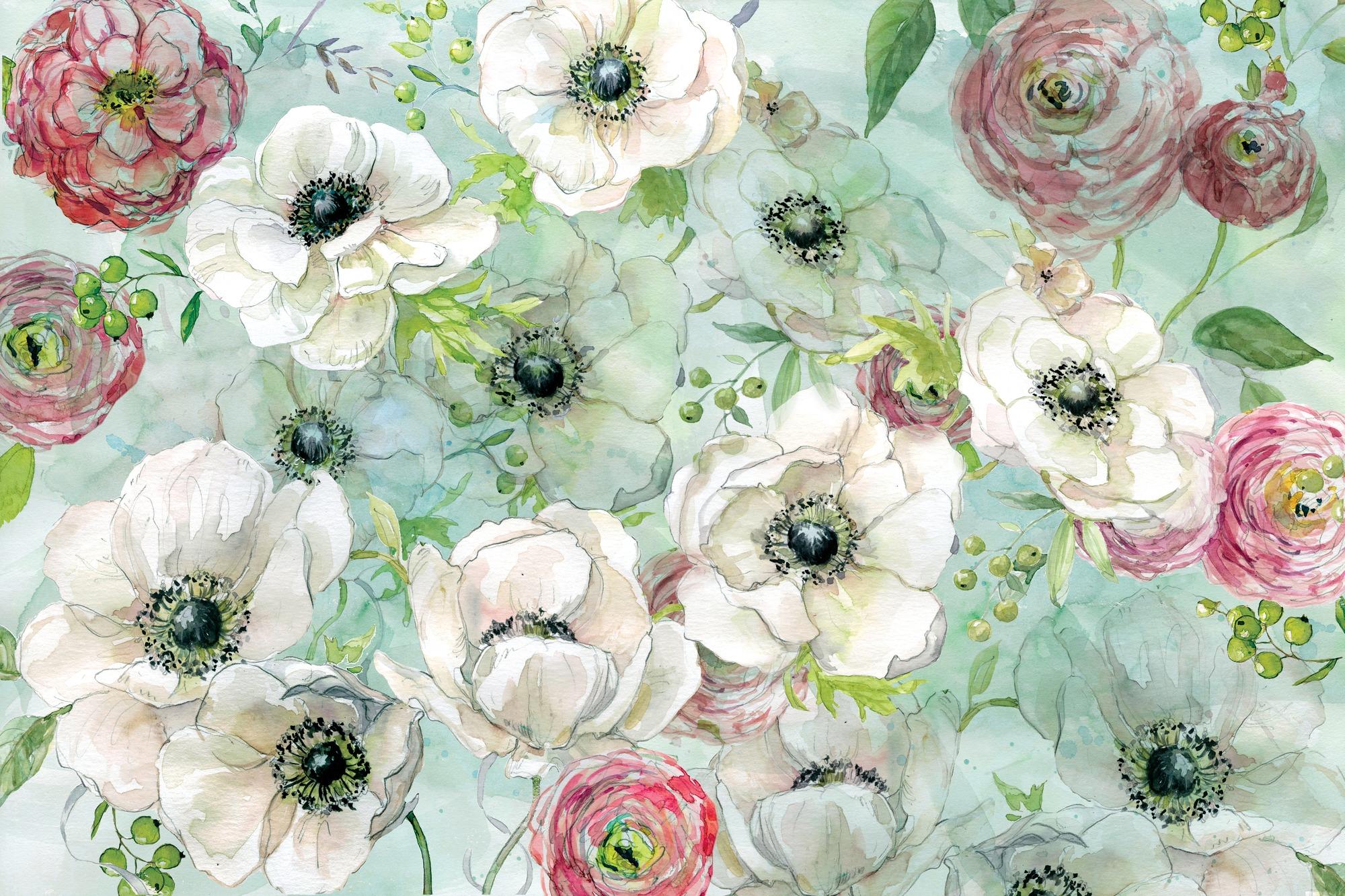 Ranunculus Desktop Wallpaper