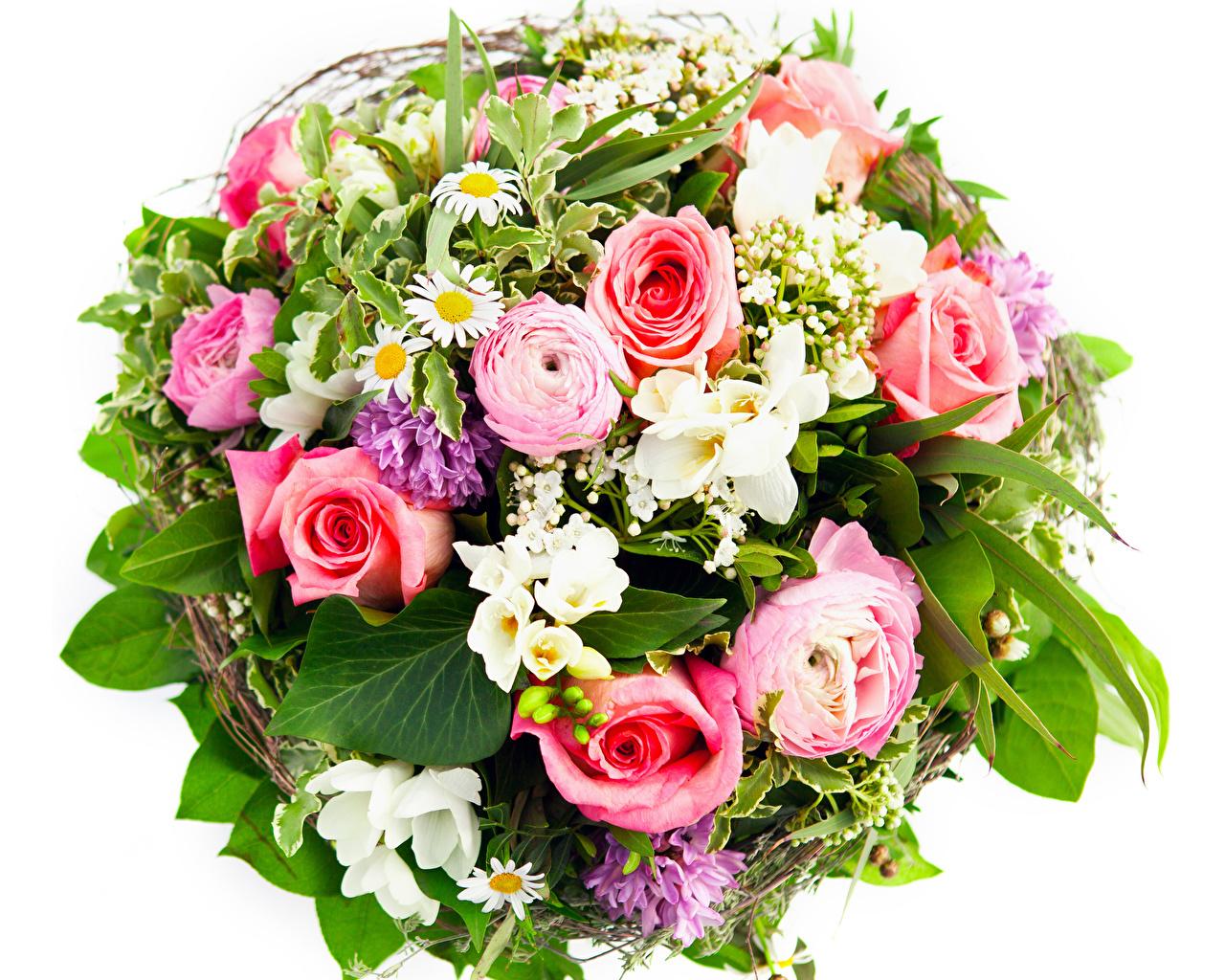 Wallpaper Bouquets Roses Flowers Ranunculus White background