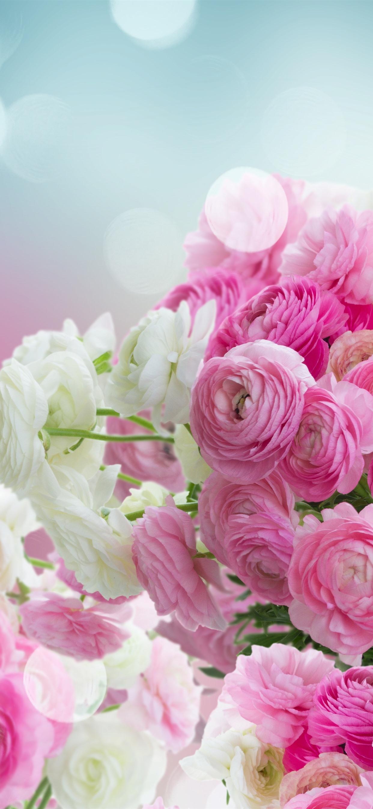 Pink and white ranunculus flowers, glare 1242x2688 iPhone XS Max