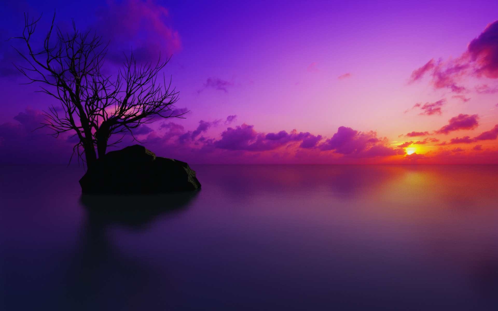 sunset, reflections, landscapes, trees, nature, purple, multicolor