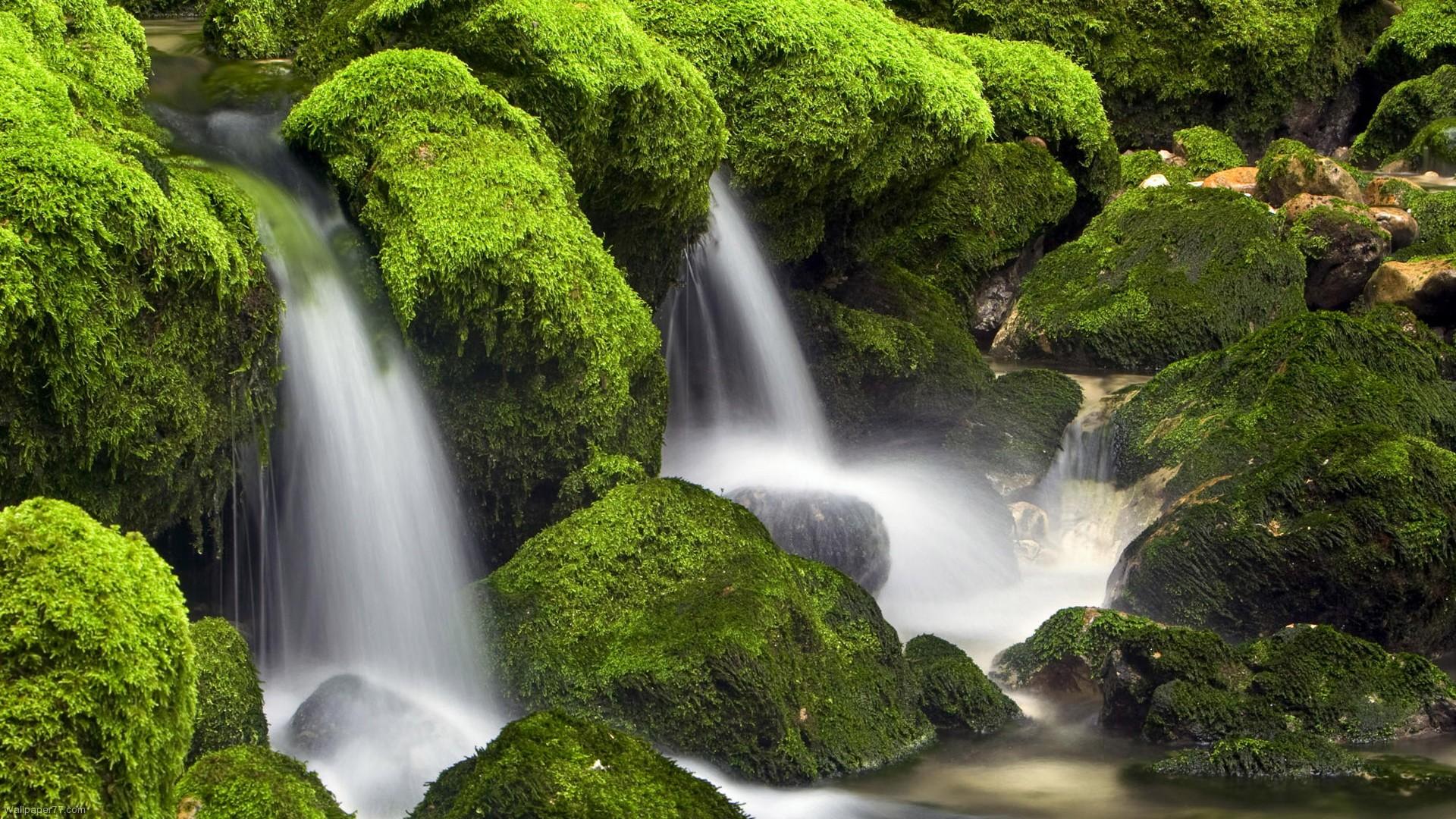 Free download waterfalls green waterfall wallpaper forest cascade