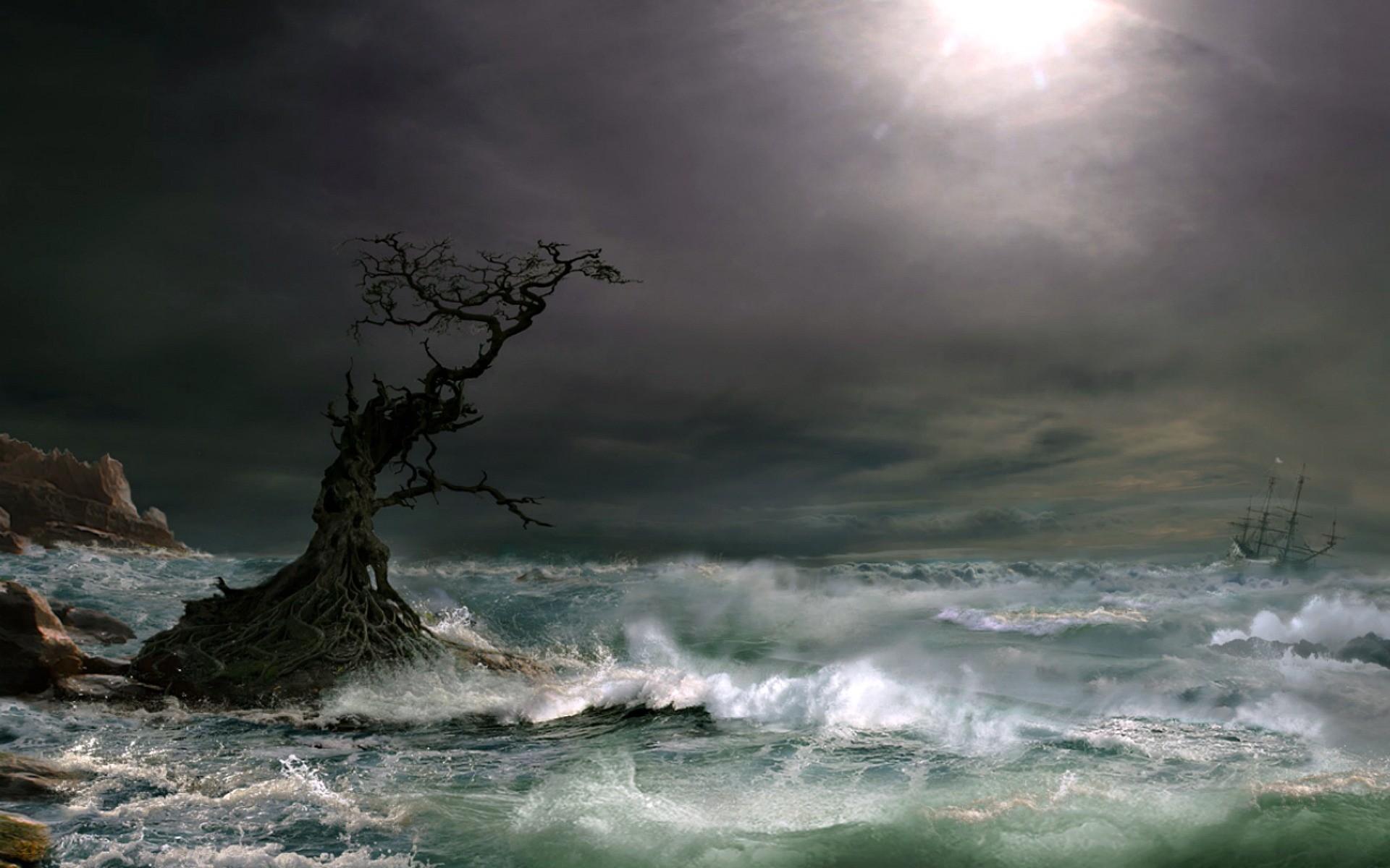 Ocean Sea: Nature Stormy Tall Tree Seas Ship Ocean Wallpaper
