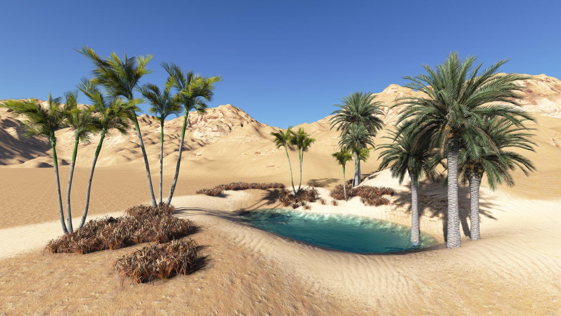 desert oasis wallpaper hd