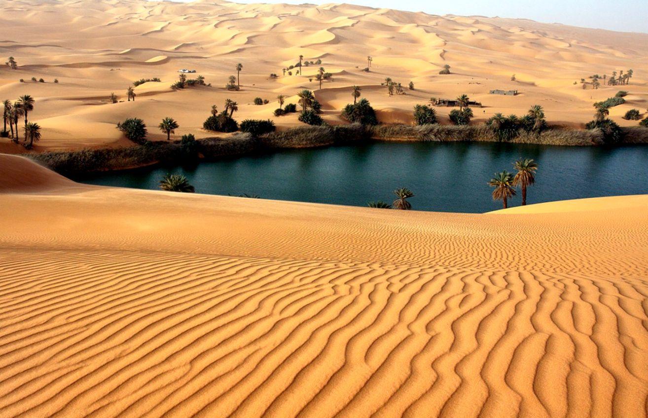 desert oasis wallpaper hd