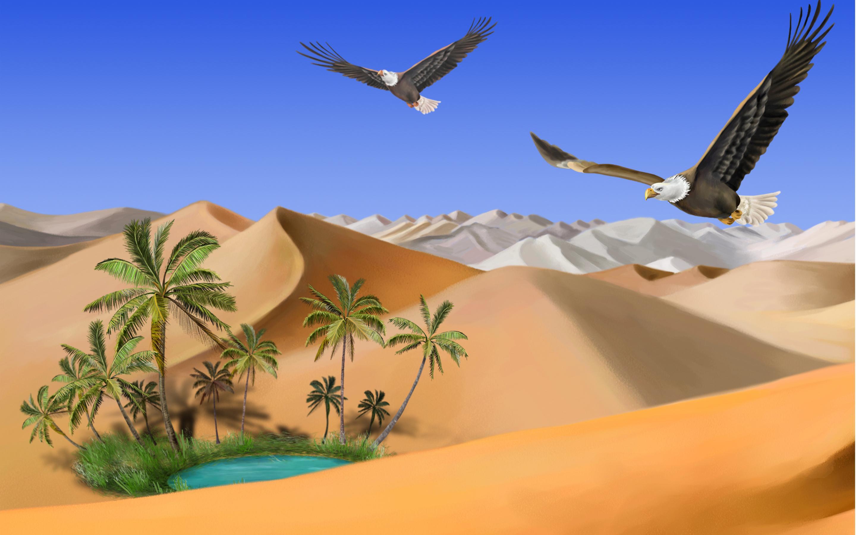 oasis landscape wallpaper