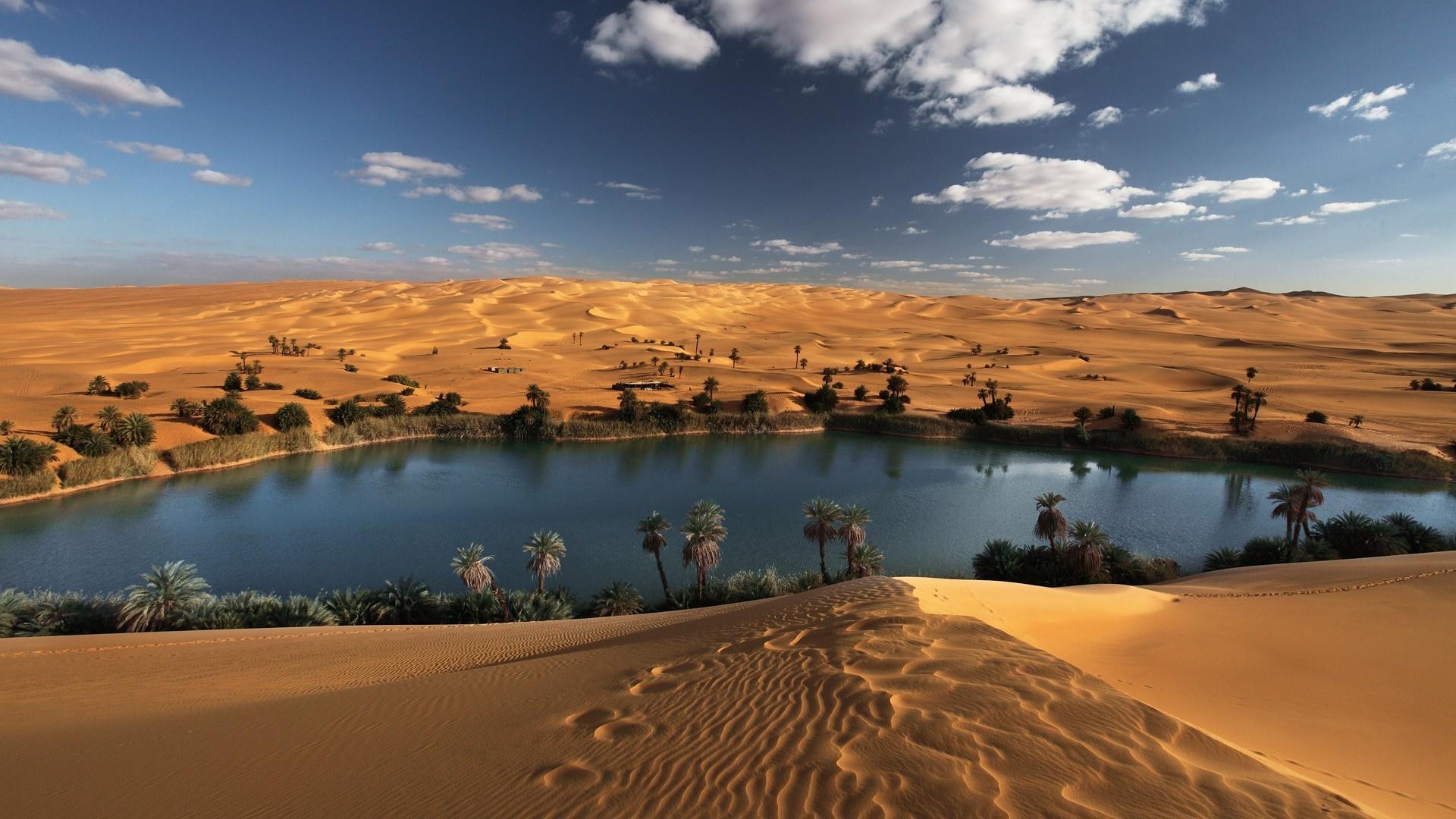 Oasis In The Desert HD Wallpaperx1080
