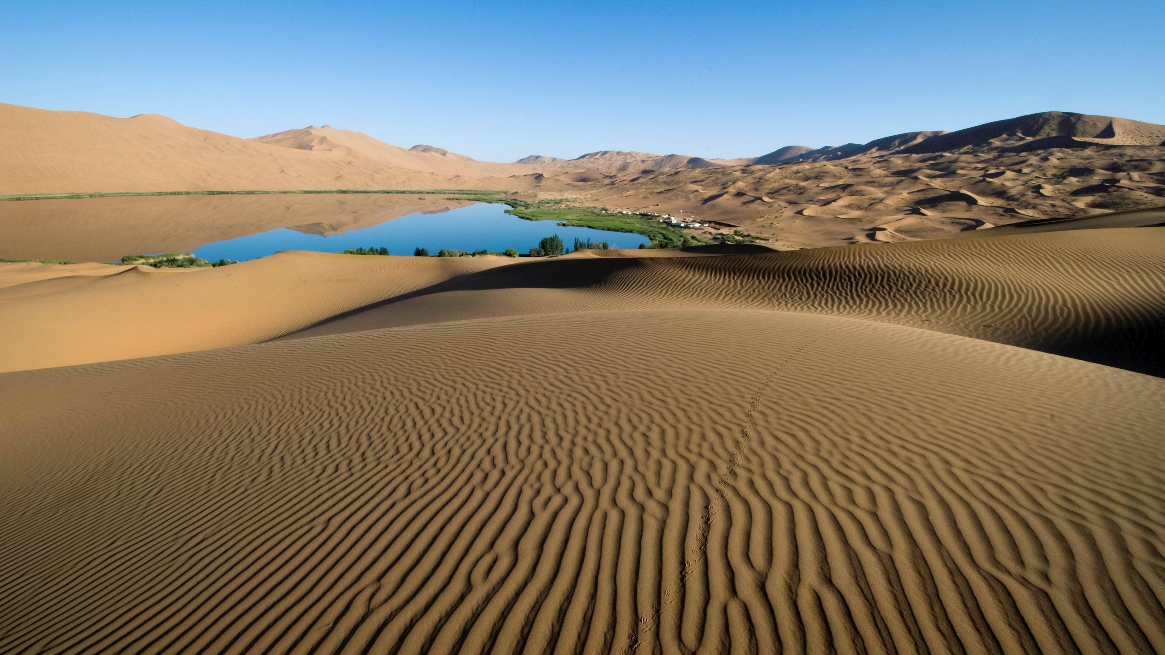 Desert Oasis Landscape Widescreen Wallpaper 50089 3840x2160px