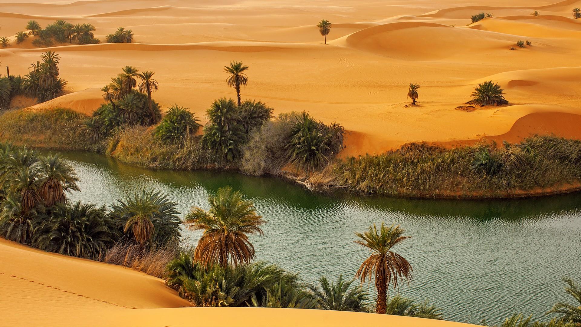 Desert Oasis Wallpapers Wallpaper Cave
