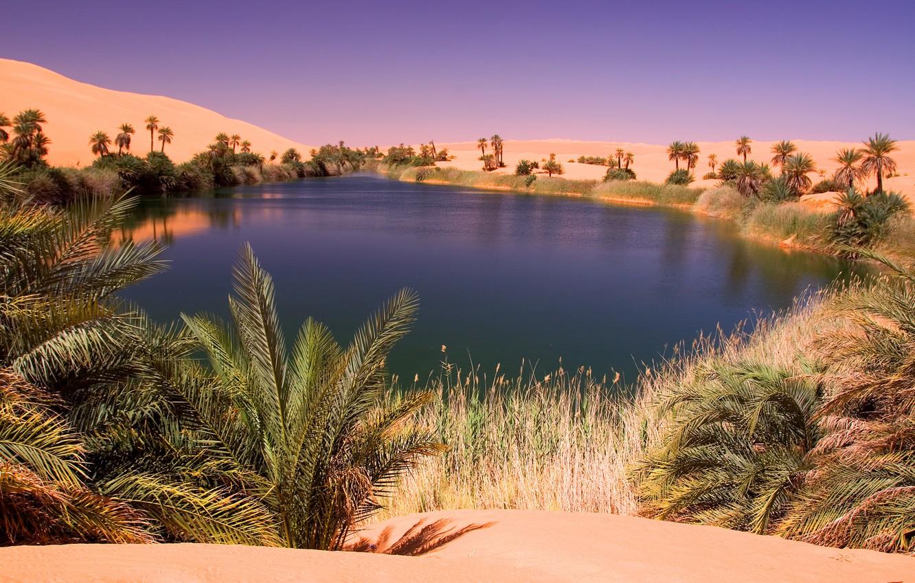 Wallpaper lake, desert, oasis image for desktop, section природа