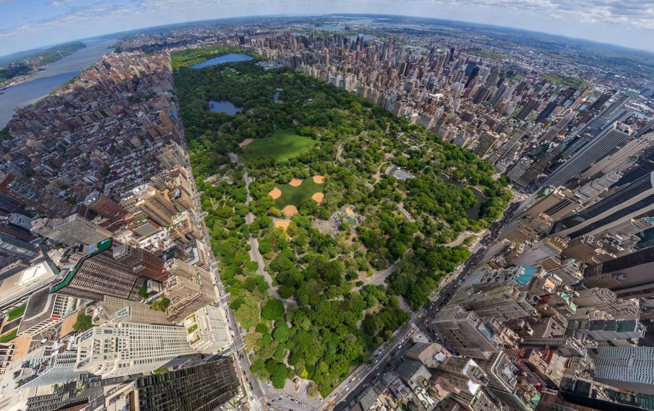 Central Park New York Five wallpaper. Central Park New York Five