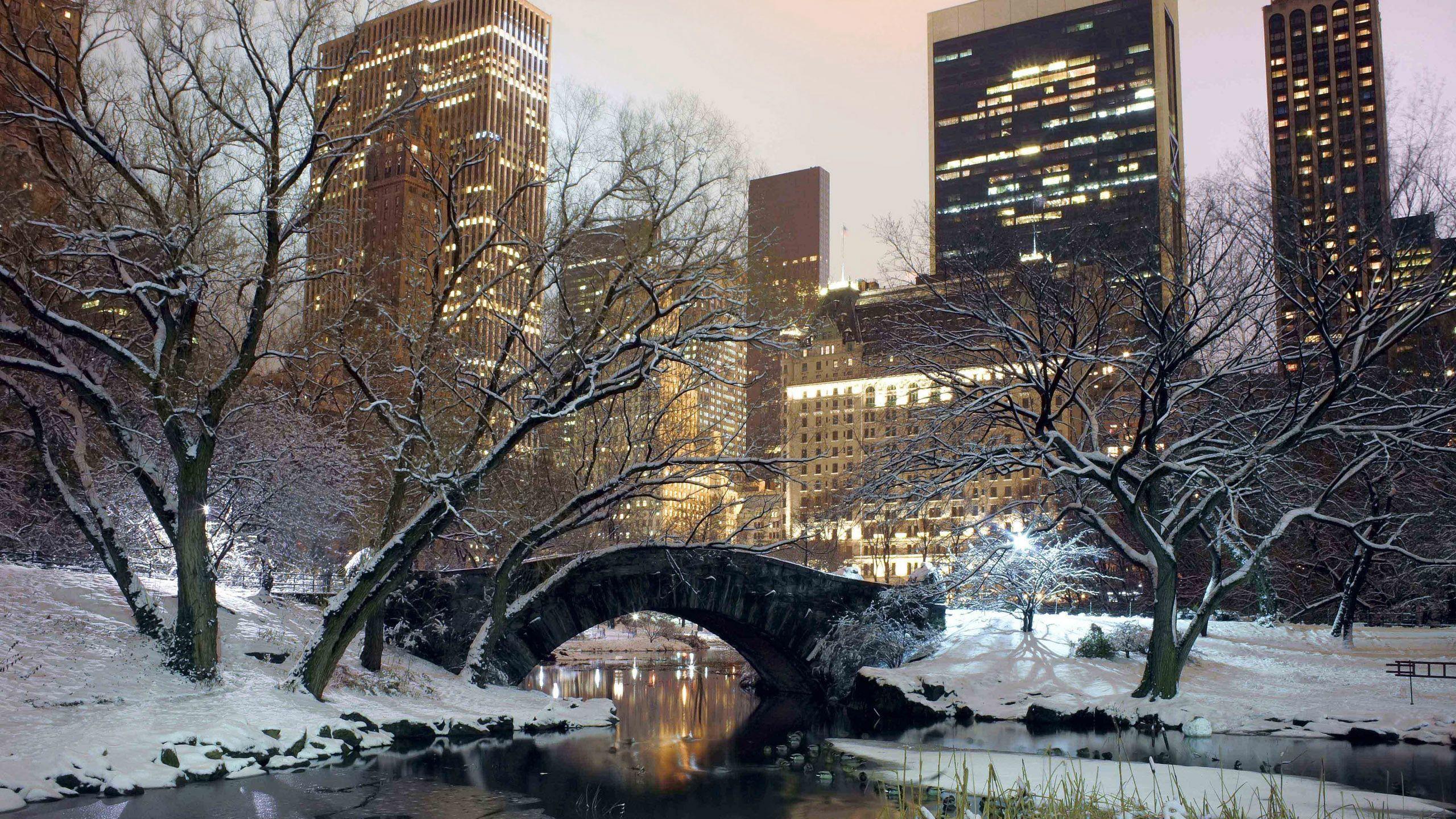 Winter in Central Park Desktop Wallpaper