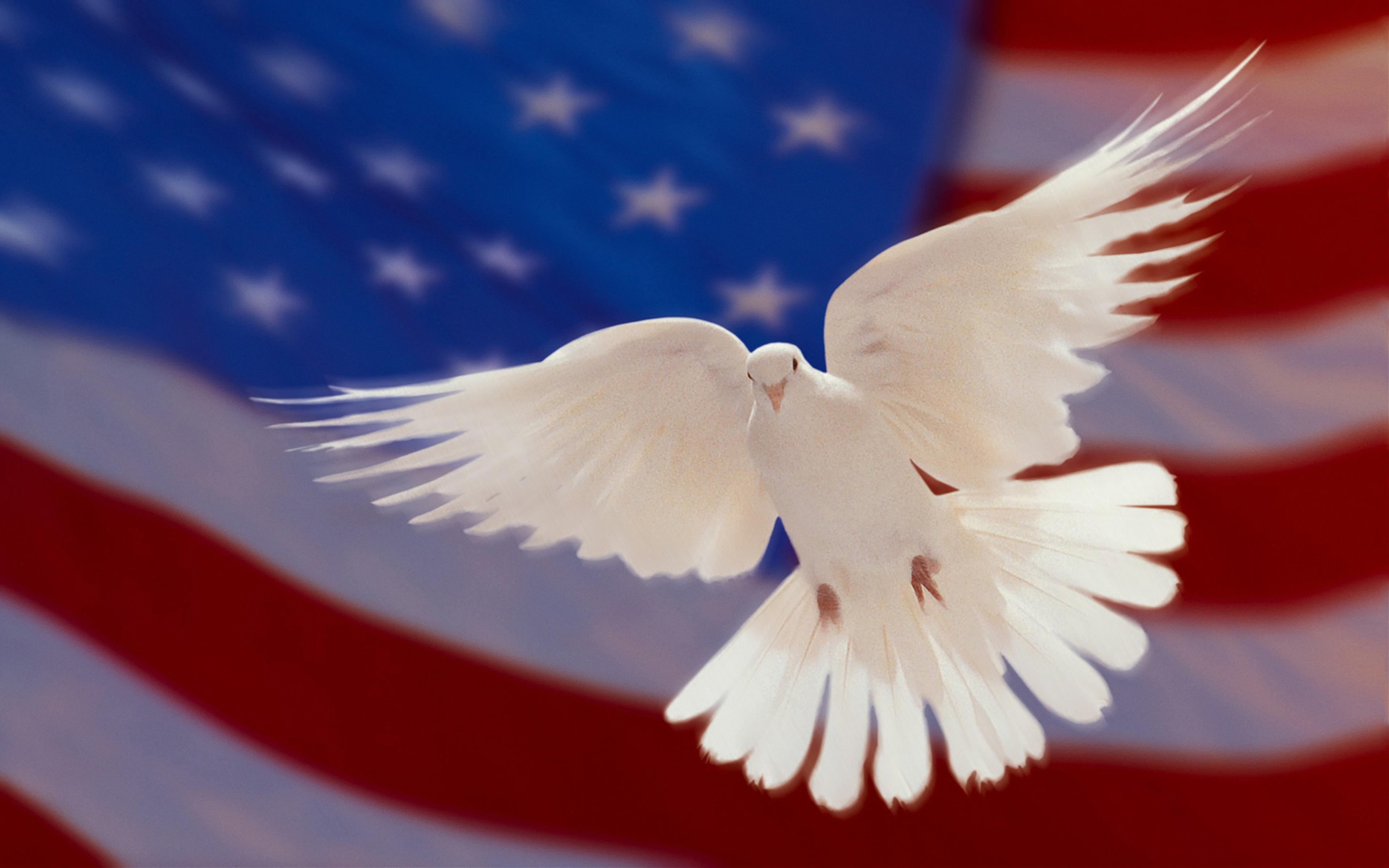 American Flag And White Dove Of Peace HD Wallpaper For Mobile