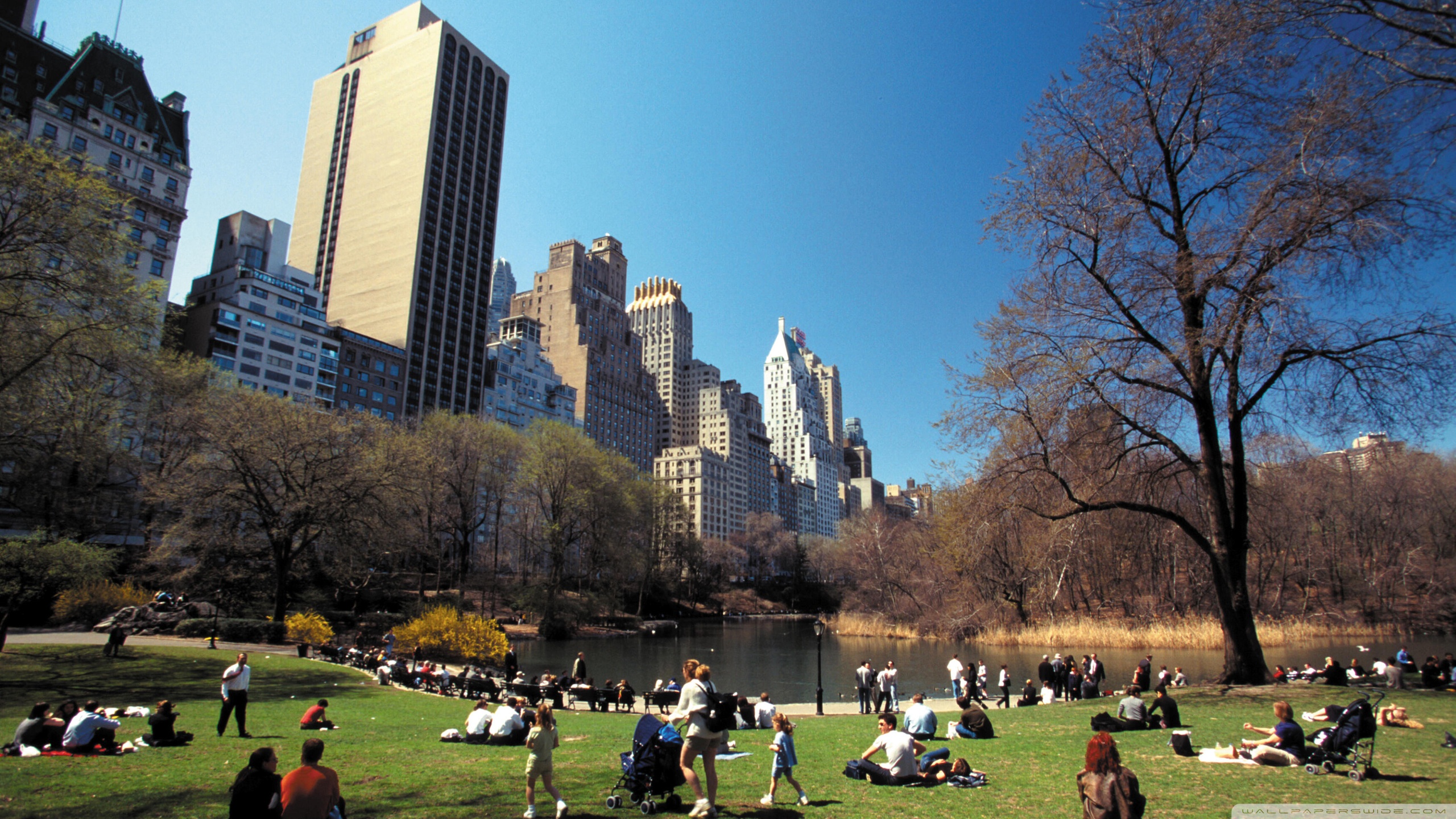 Central Park ❤ 4K HD Desktop Wallpaper for 4K Ultra HD TV • Tablet