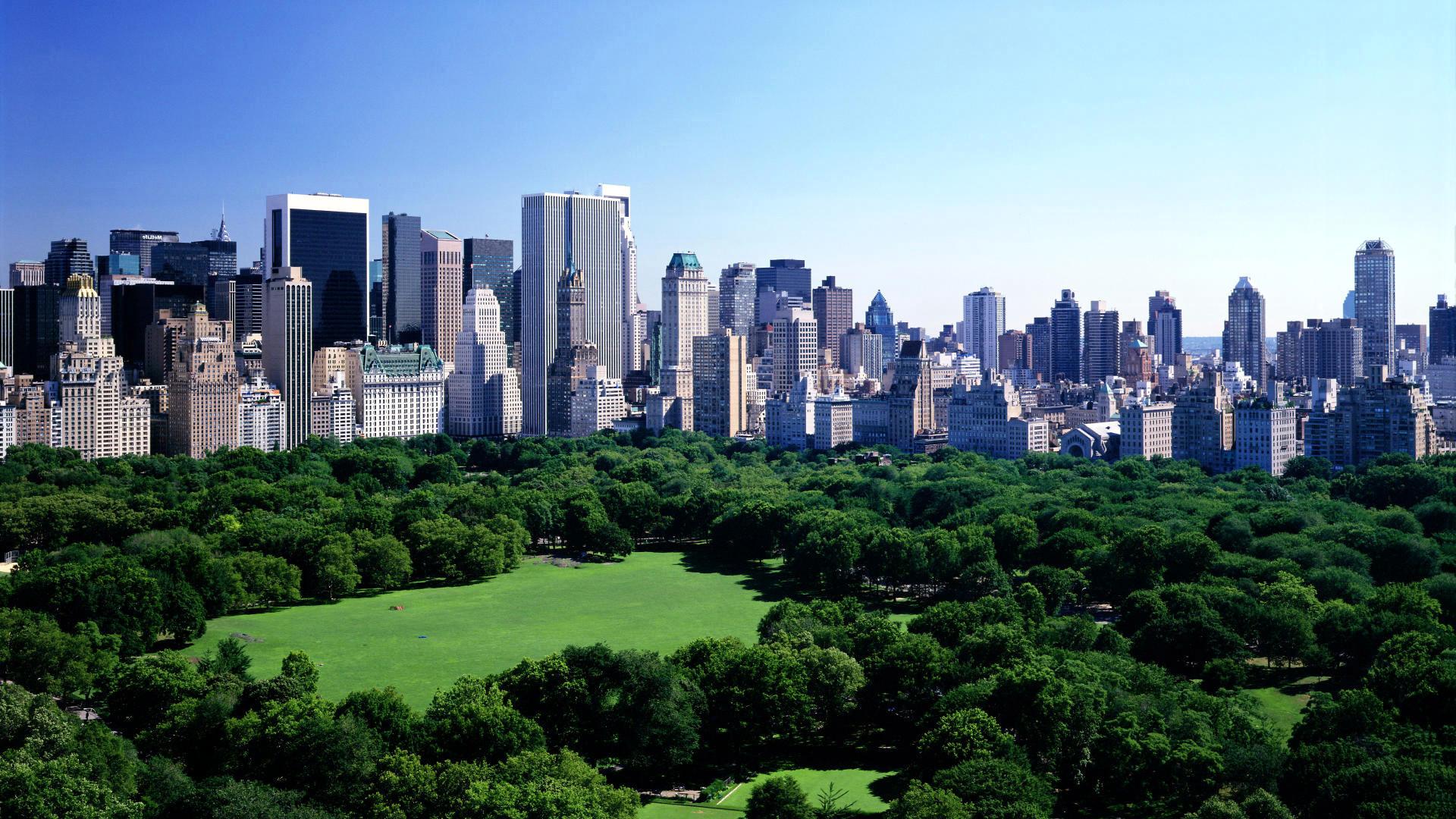 Central Park Wallpaper background picture