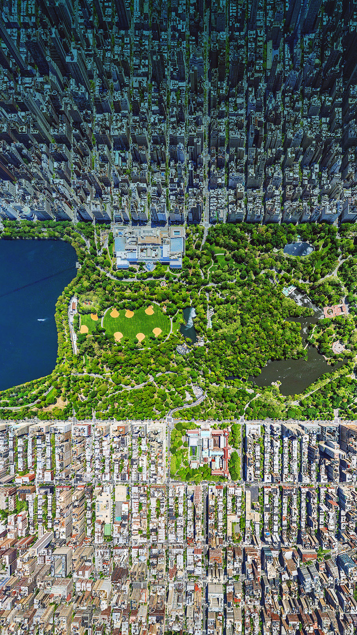 iPhone 6 Wallpaper central park newyork
