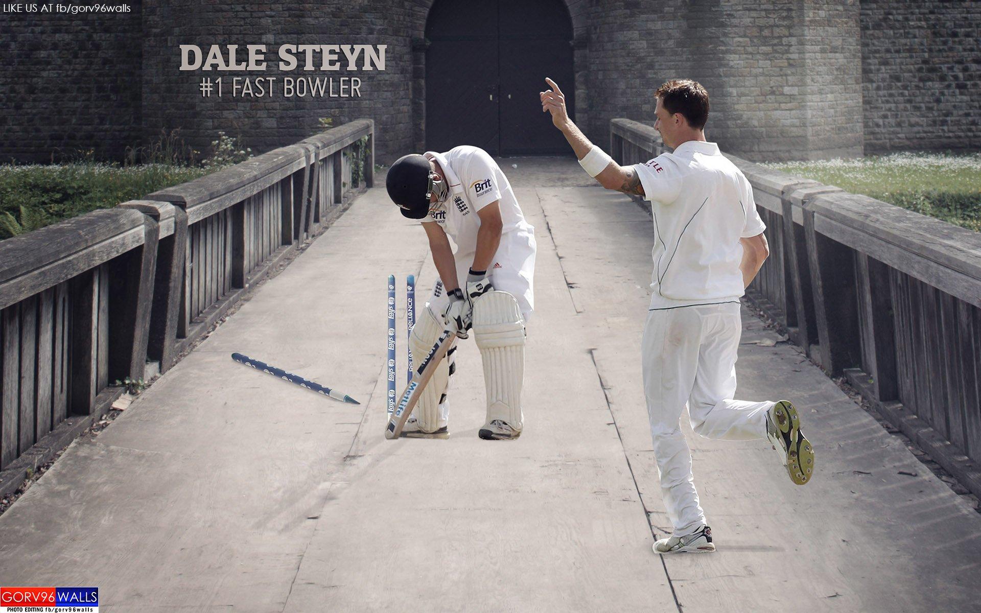 Dale Steyn HD. GORV96WALLS. HD Wallpaper. Background Image