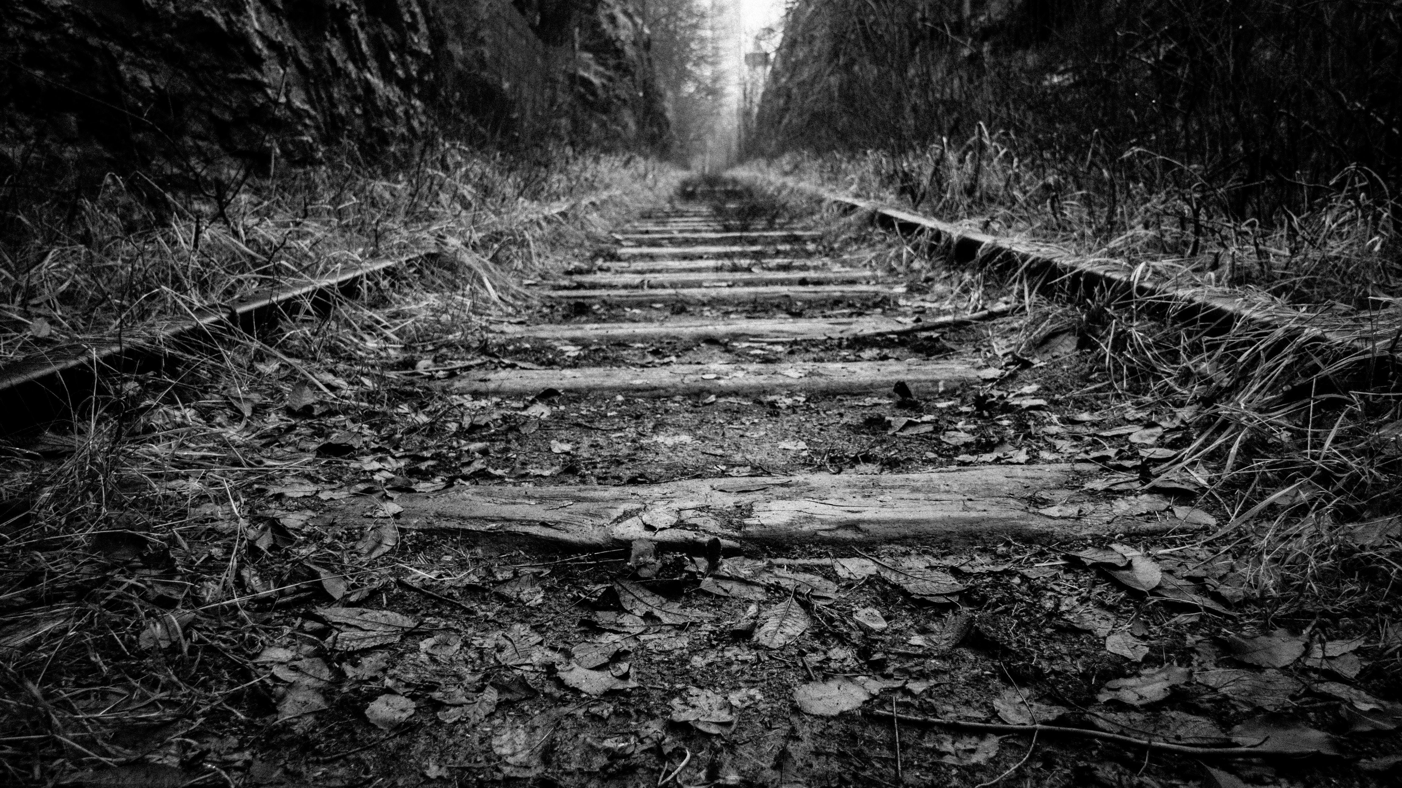 Grayscale Photography of Train Railway · Free
