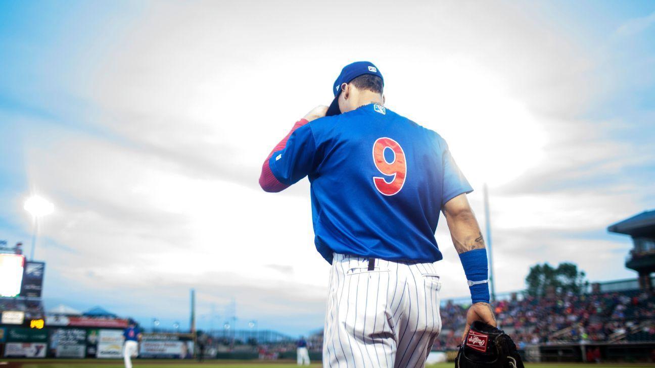 Javy Baez wallpaper by kthiry78 - Download on ZEDGE™