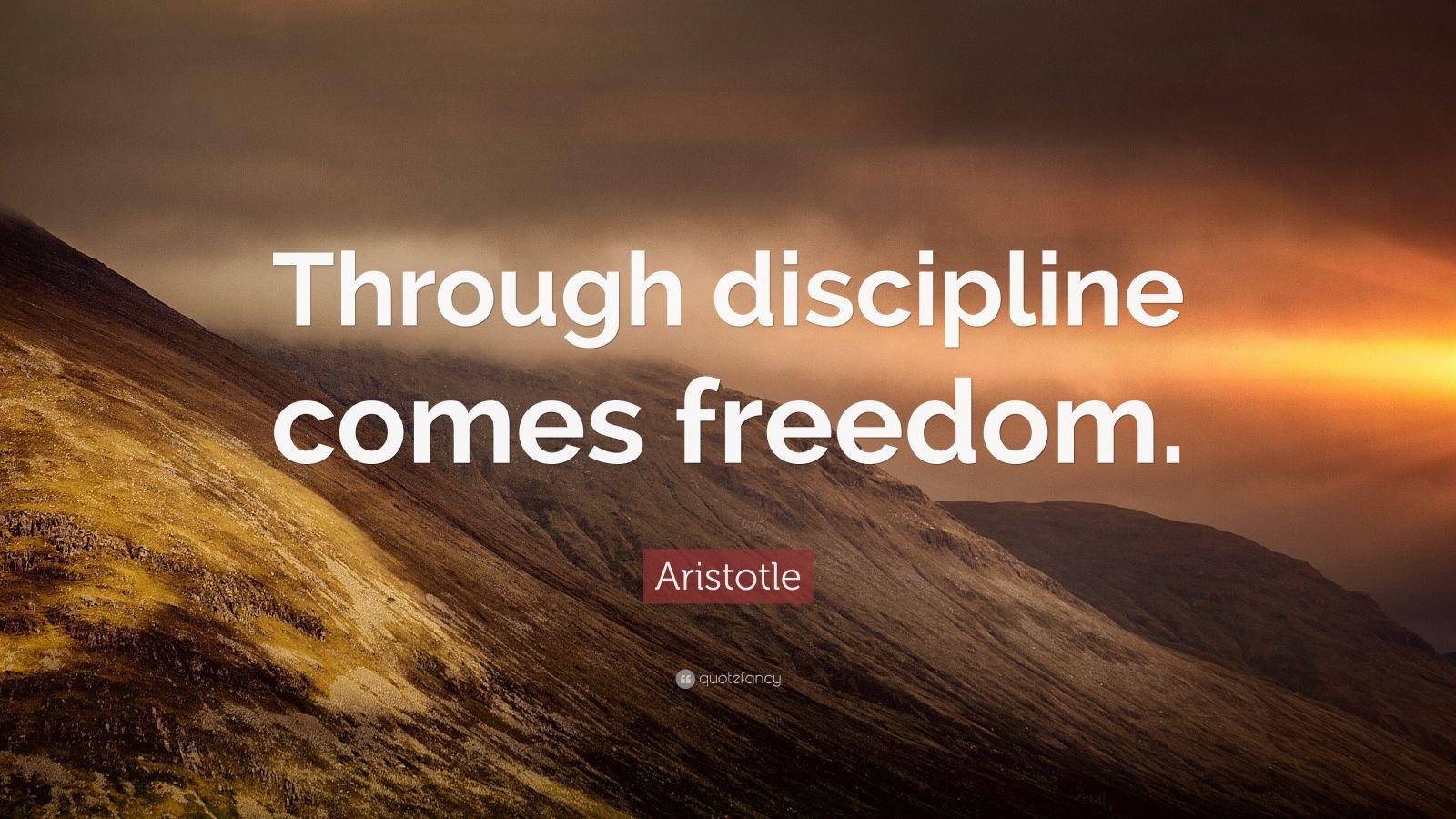 Aristotle Quotes (100 wallpaper)