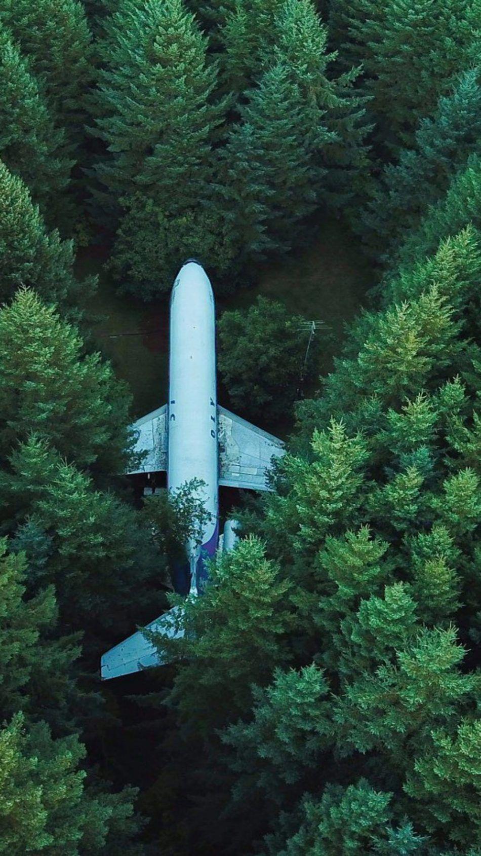 Plane Aircraft Forest Surrounded. Forest wallpaper iphone, Nature