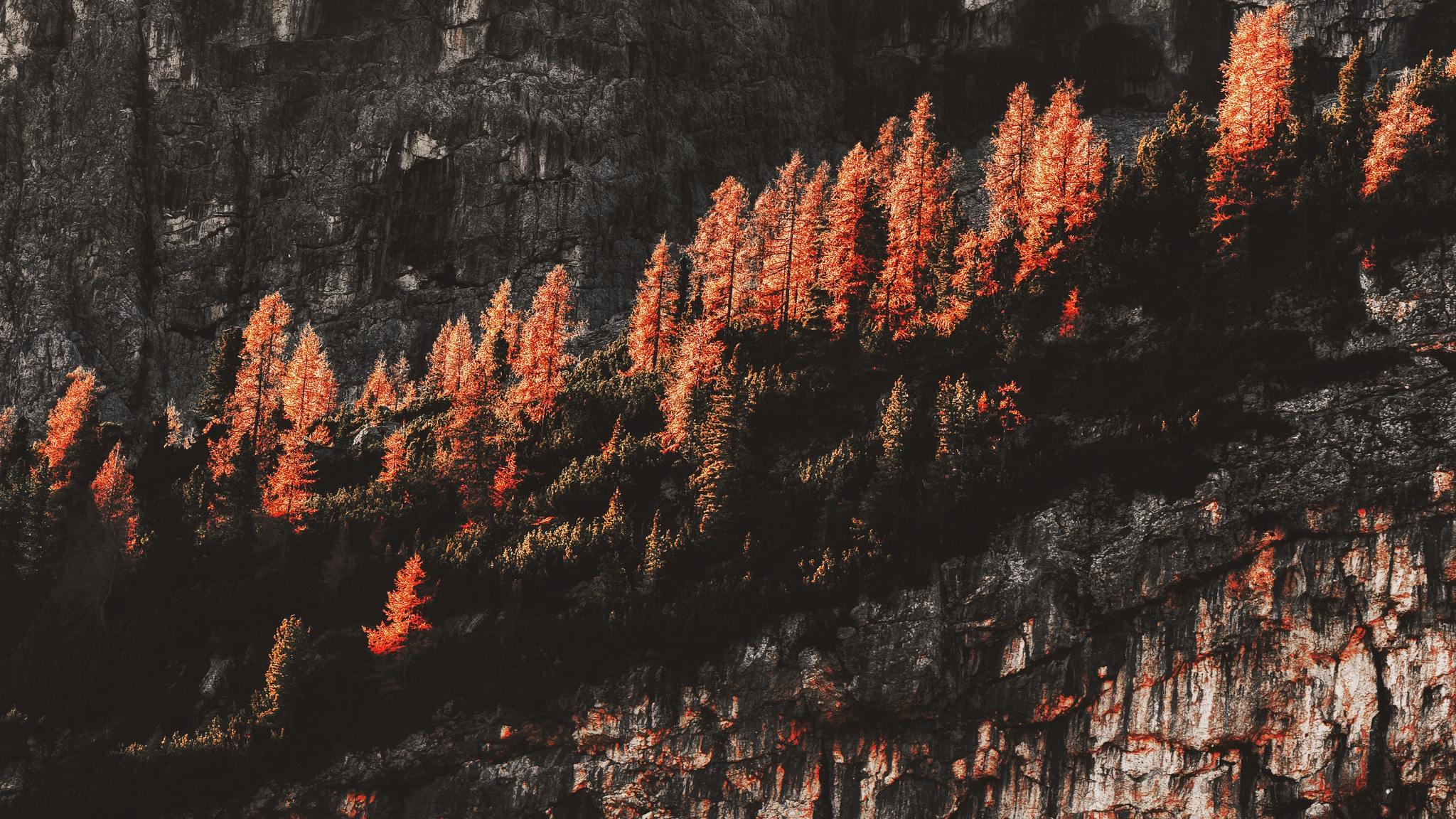 Rocks Mountains Surrounded By Trees 4k 2048x1152