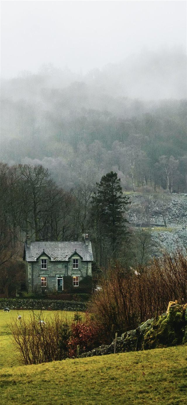 house at forest surrounded with fog iPhone X Wallpaper Download