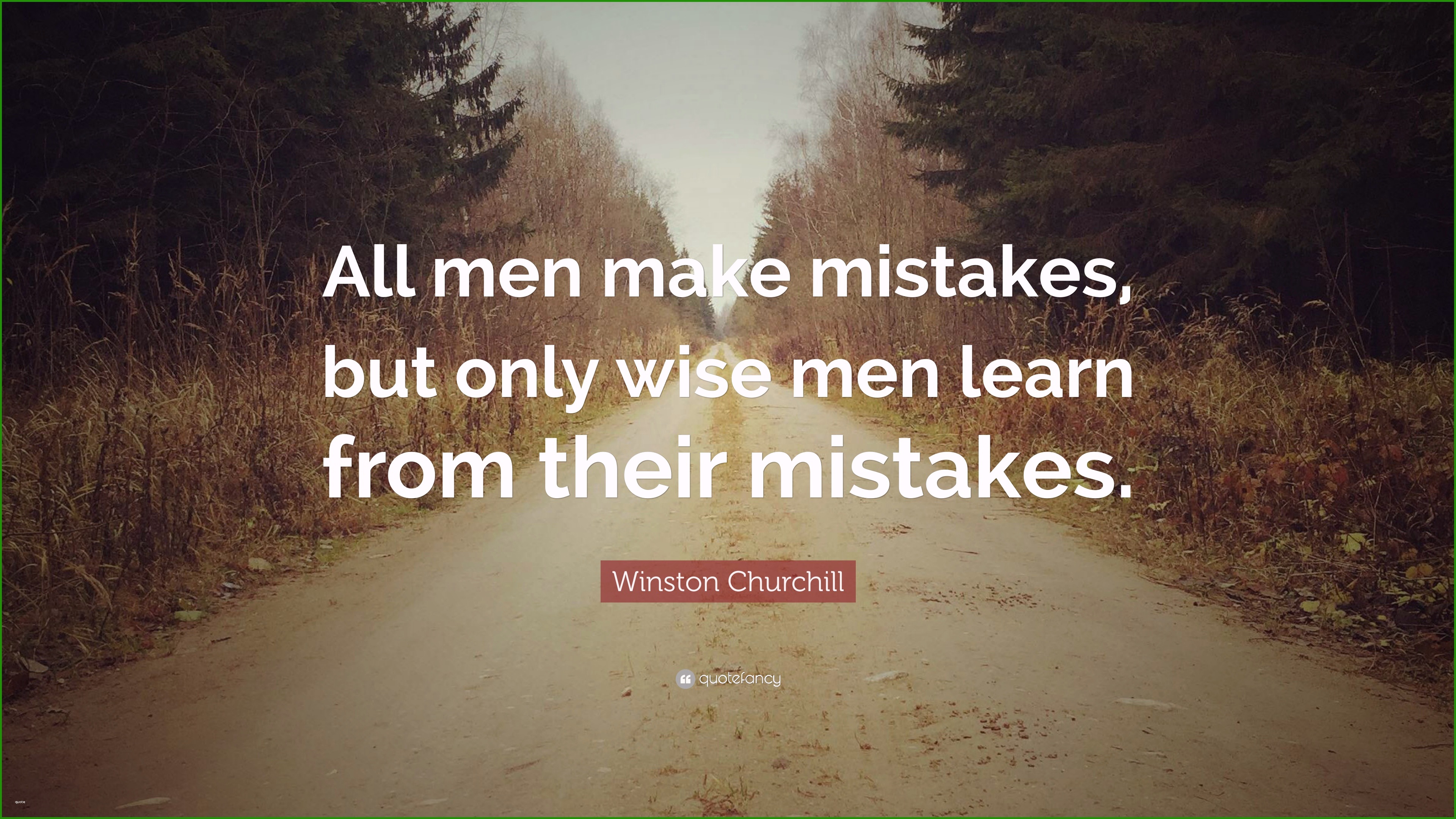 Inspirational Quotes About Mistakes Remarkable Winston Churchill