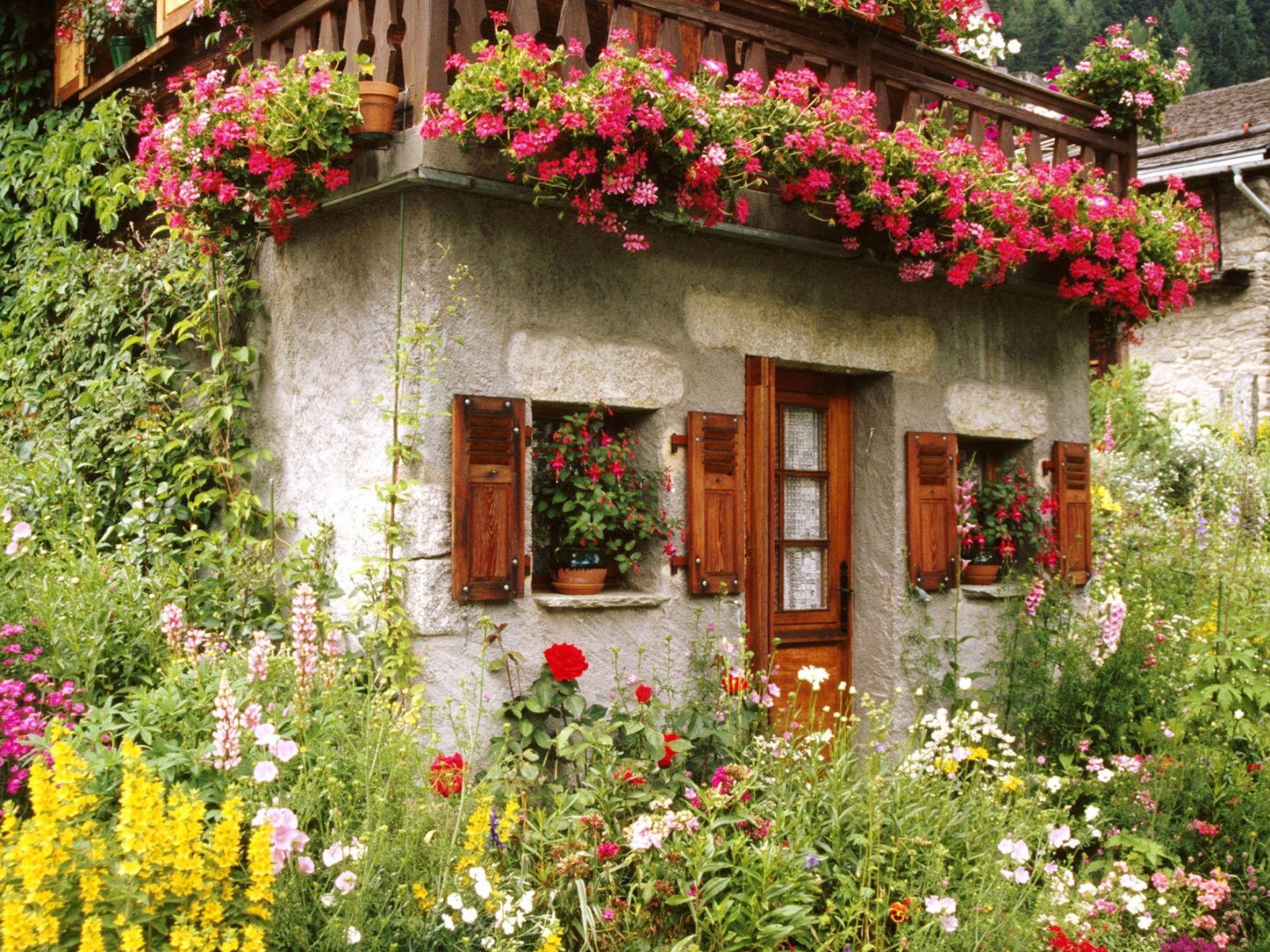 Lovely, English, Cottage, Garden, Wide, HD, New, Wallpaper, Free