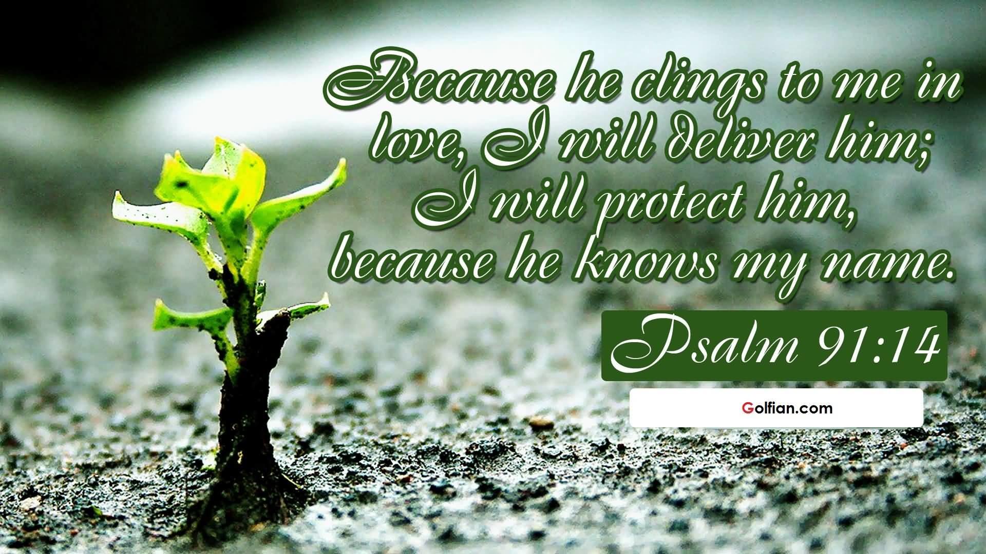 Psalm 23 Wallpaper background picture